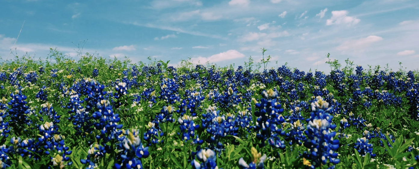 Spring in Central Texas: What to Check Before the Heat Hits
