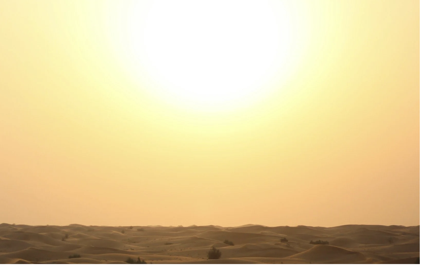 Homeowners: How to Protect Your Foundation During Central Texas Summers