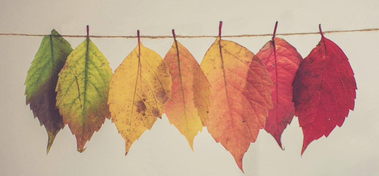 How to Prepare Your Central Texas Home for Winter