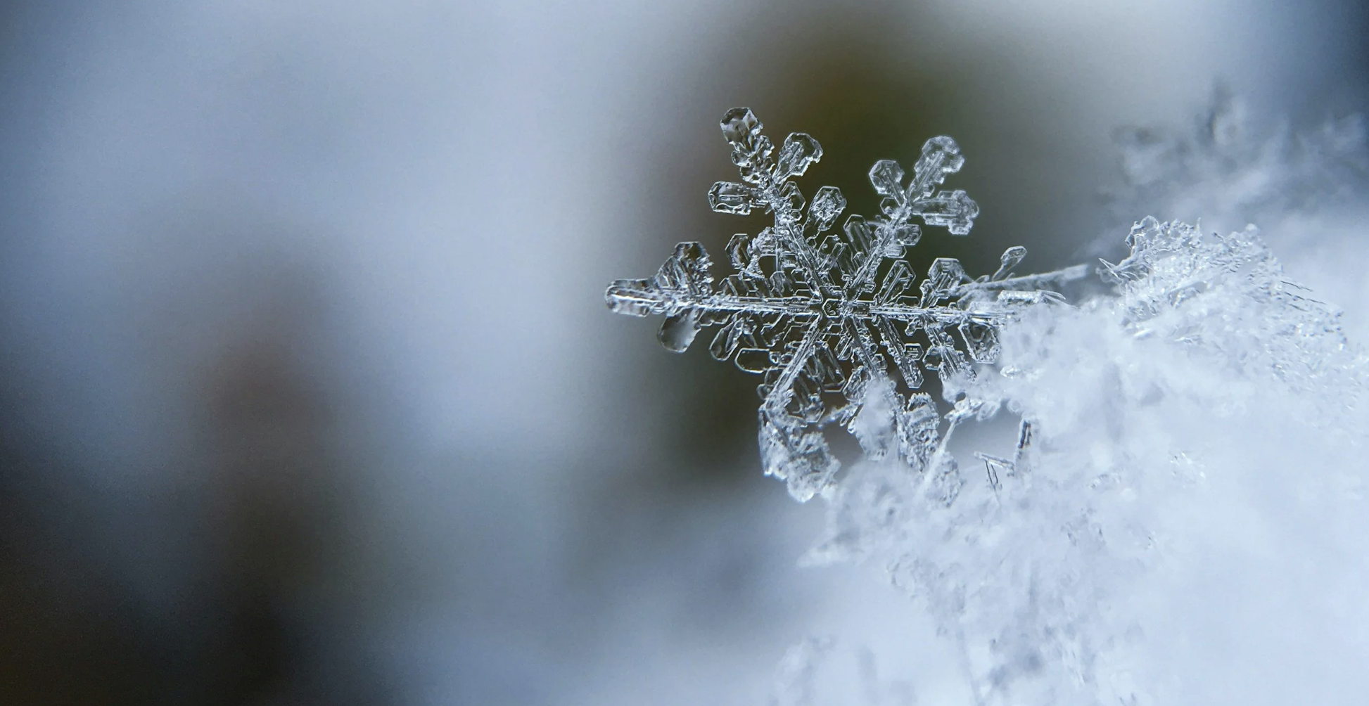 Winter Home Maintenance in Central Texas