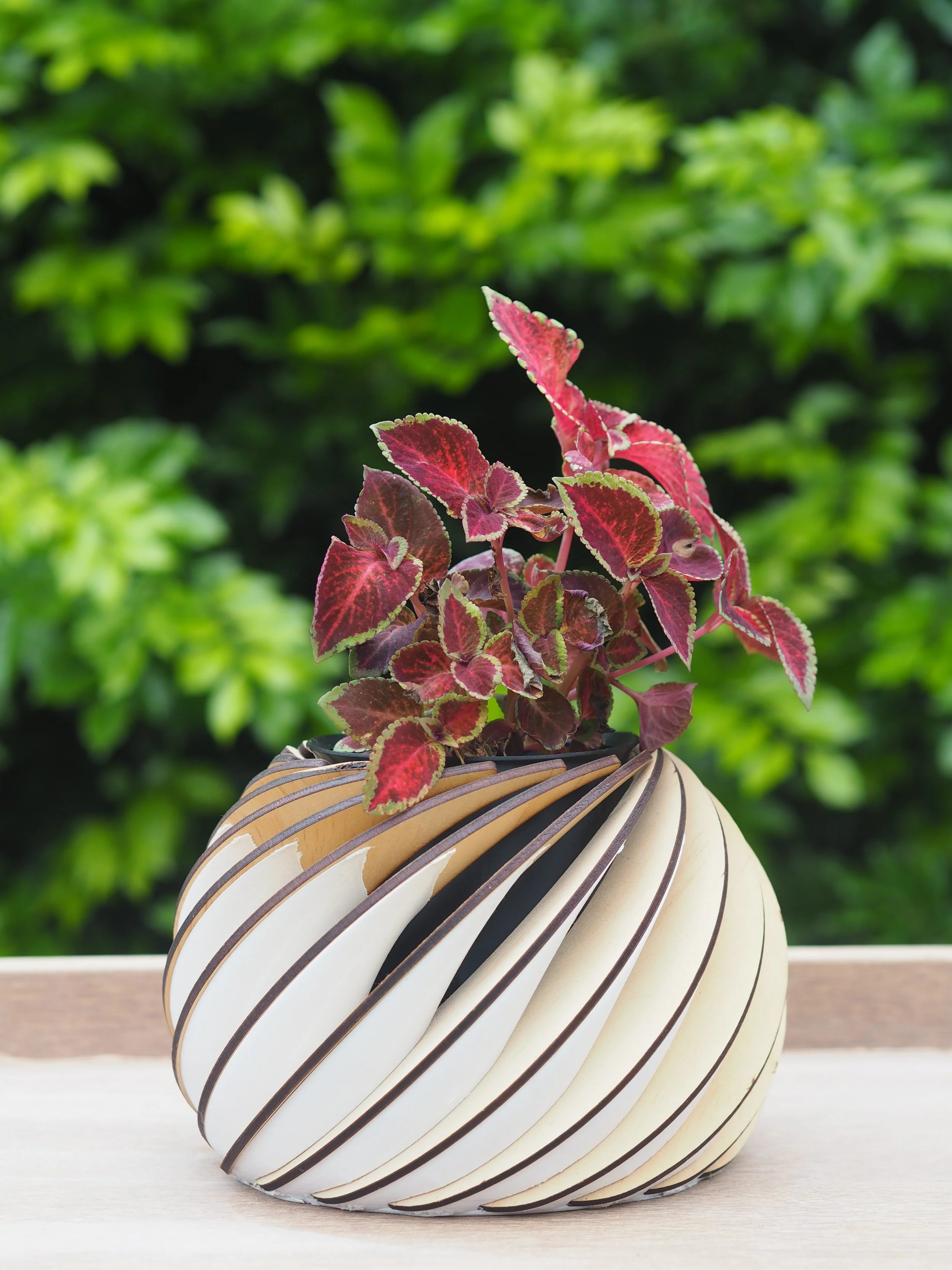 Spiral Planter