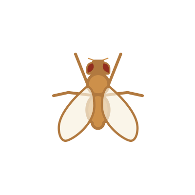 bug7.png