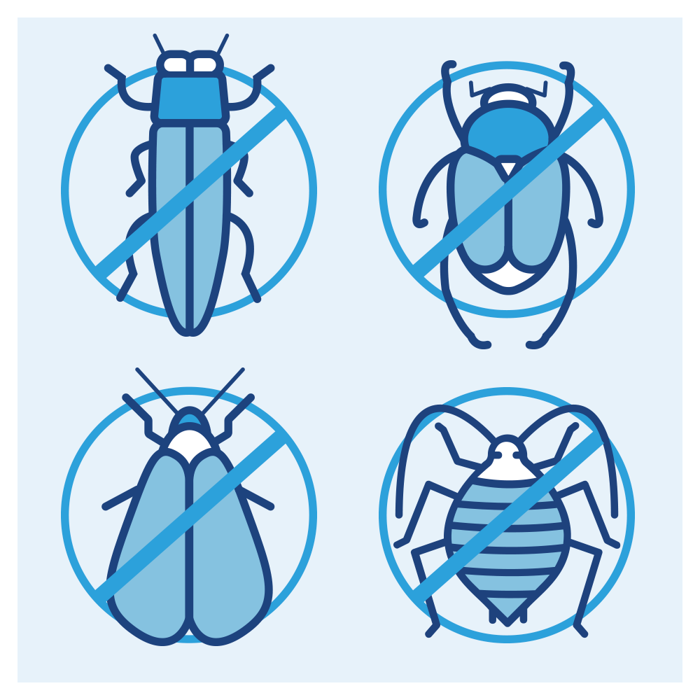 Work_sbm-bugs.png