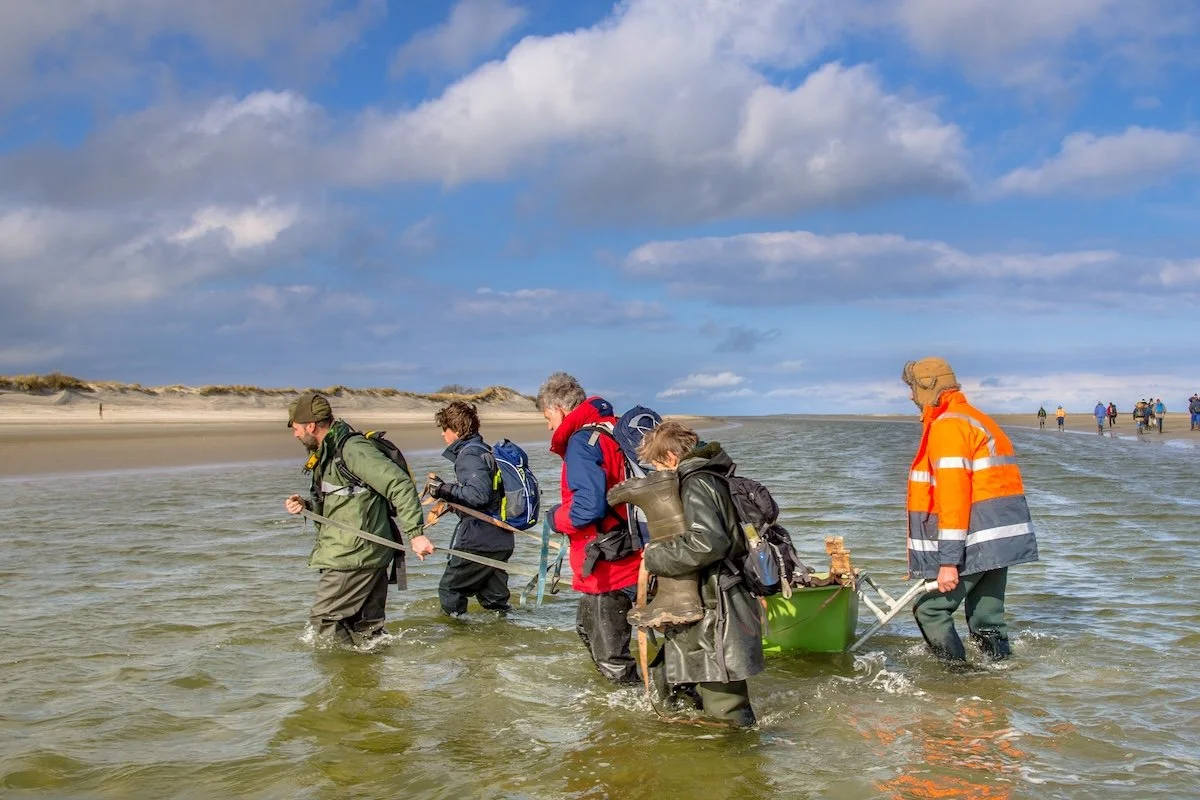 Marine biologists pulling research equipment through the water during a supported fieldwork project