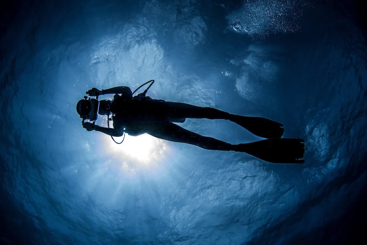 Diver documenting marine research through underwater observation and photography