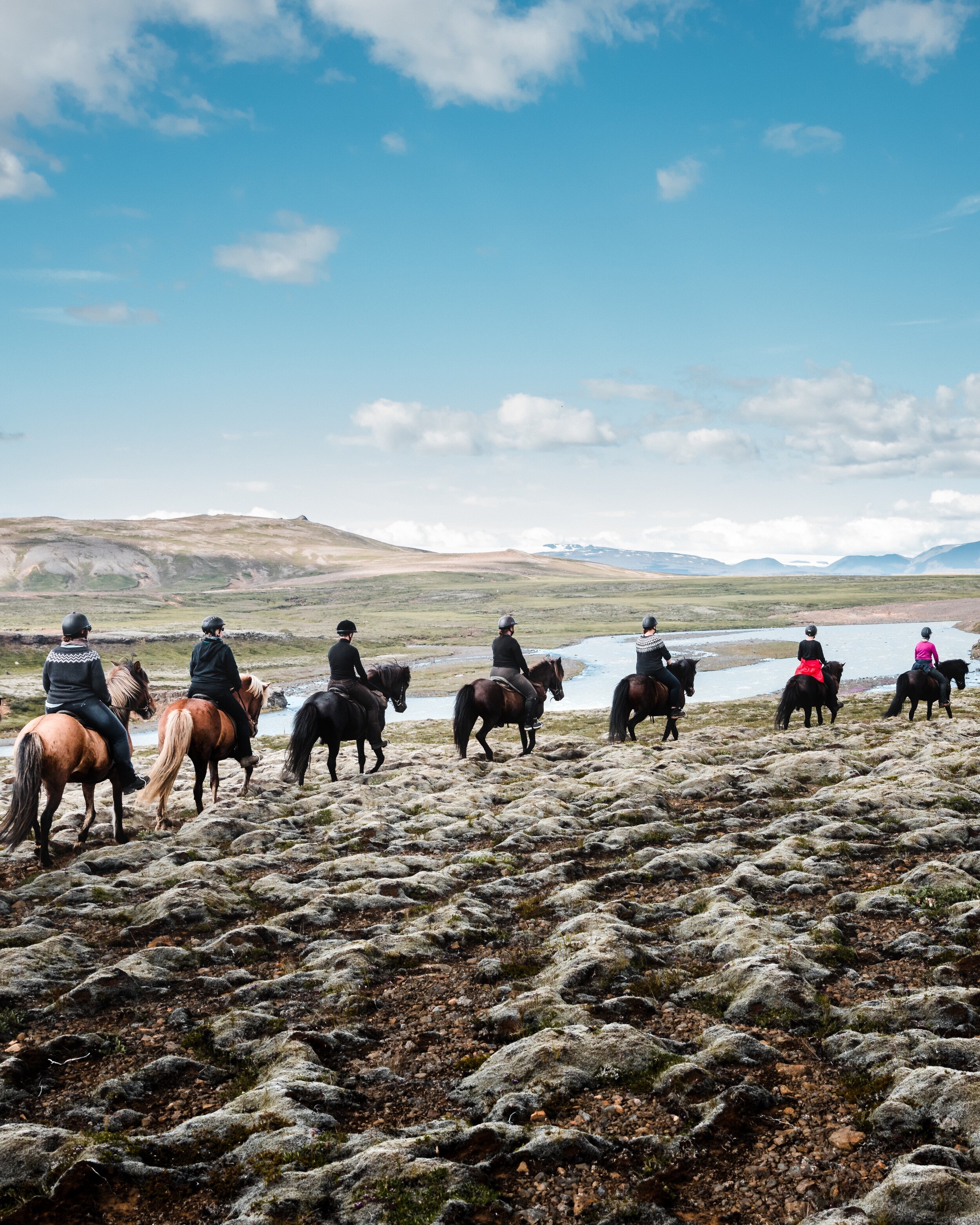 Icelandic Explorer Iceland Horses 18.jpg