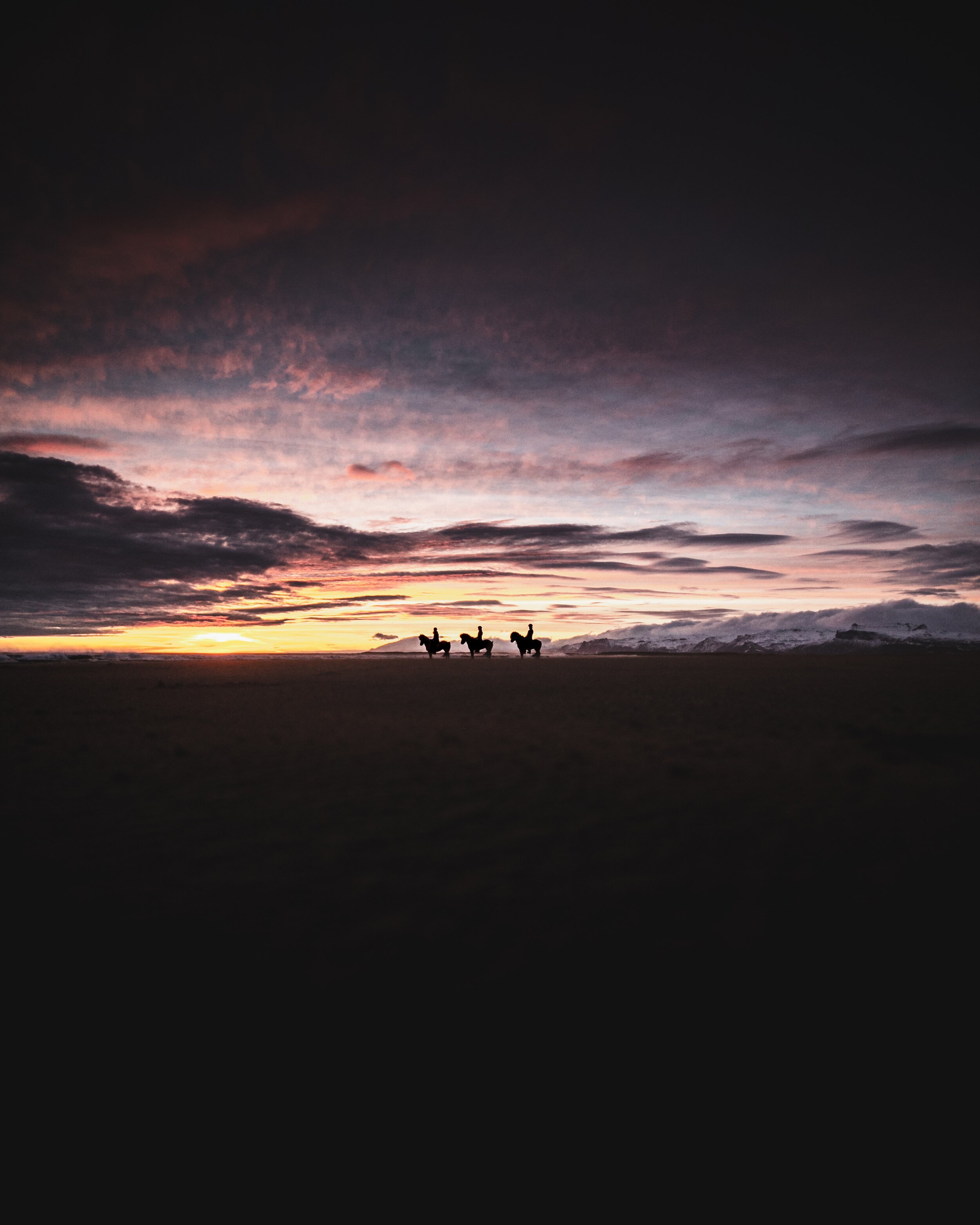 Icelandic Explorer Iceland Horses 24.jpg