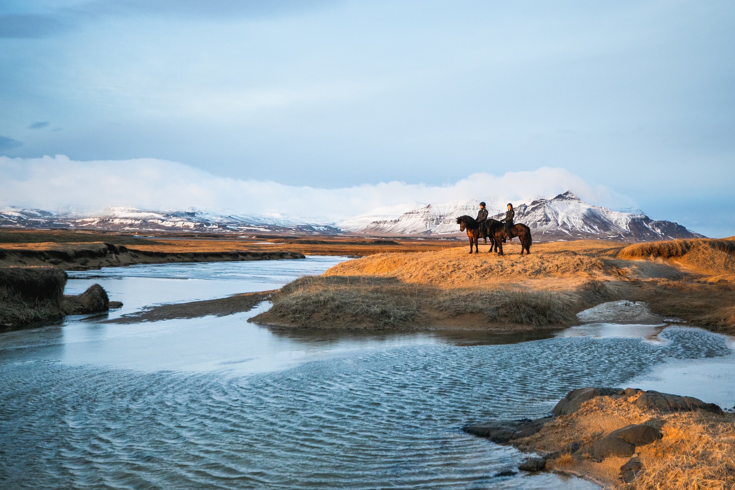 Icelandic Explorer Iceland Horses 21.jpg