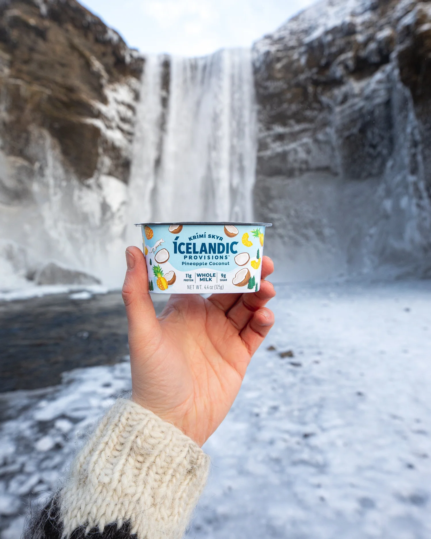 ICELANDIC PROVISIONS | Icelandic Explorer