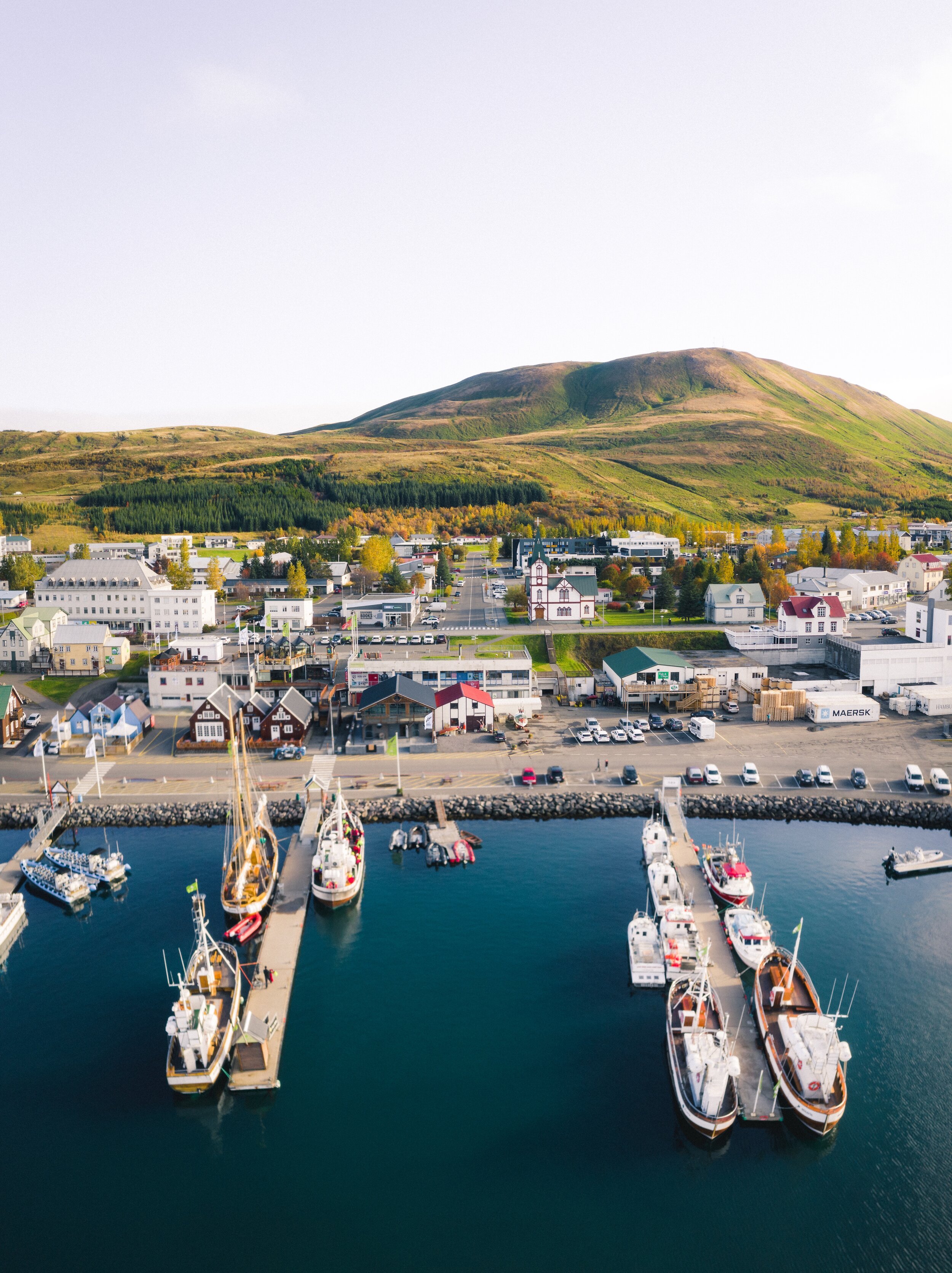 ICELANDIC PROVISIONS | Icelandic Explorer