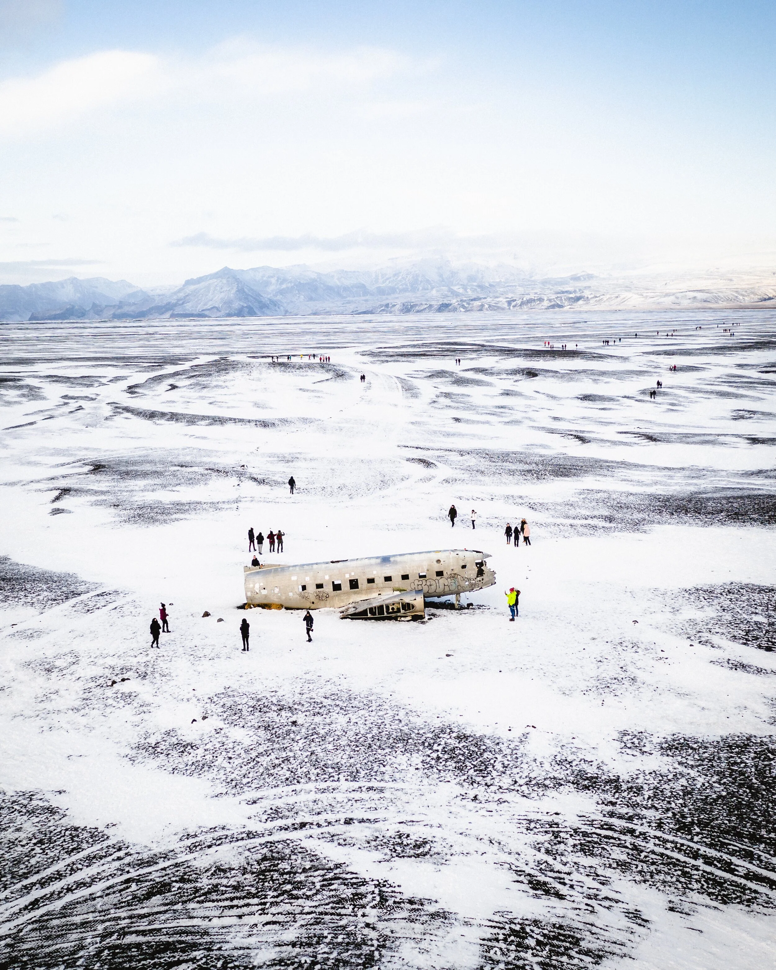 ICELANDIC PROVISIONS | Icelandic Explorer