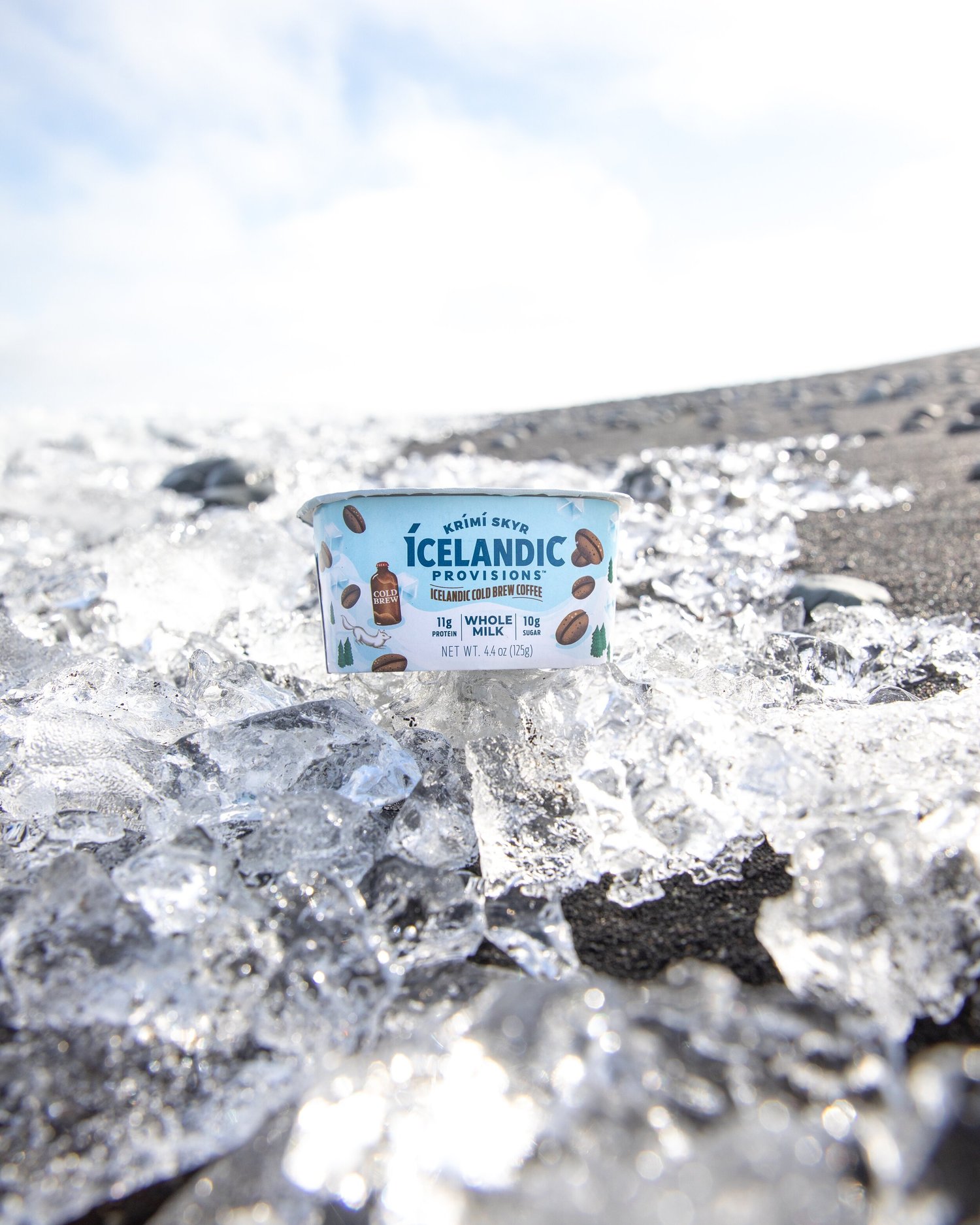 ICELANDIC PROVISIONS | Icelandic Explorer