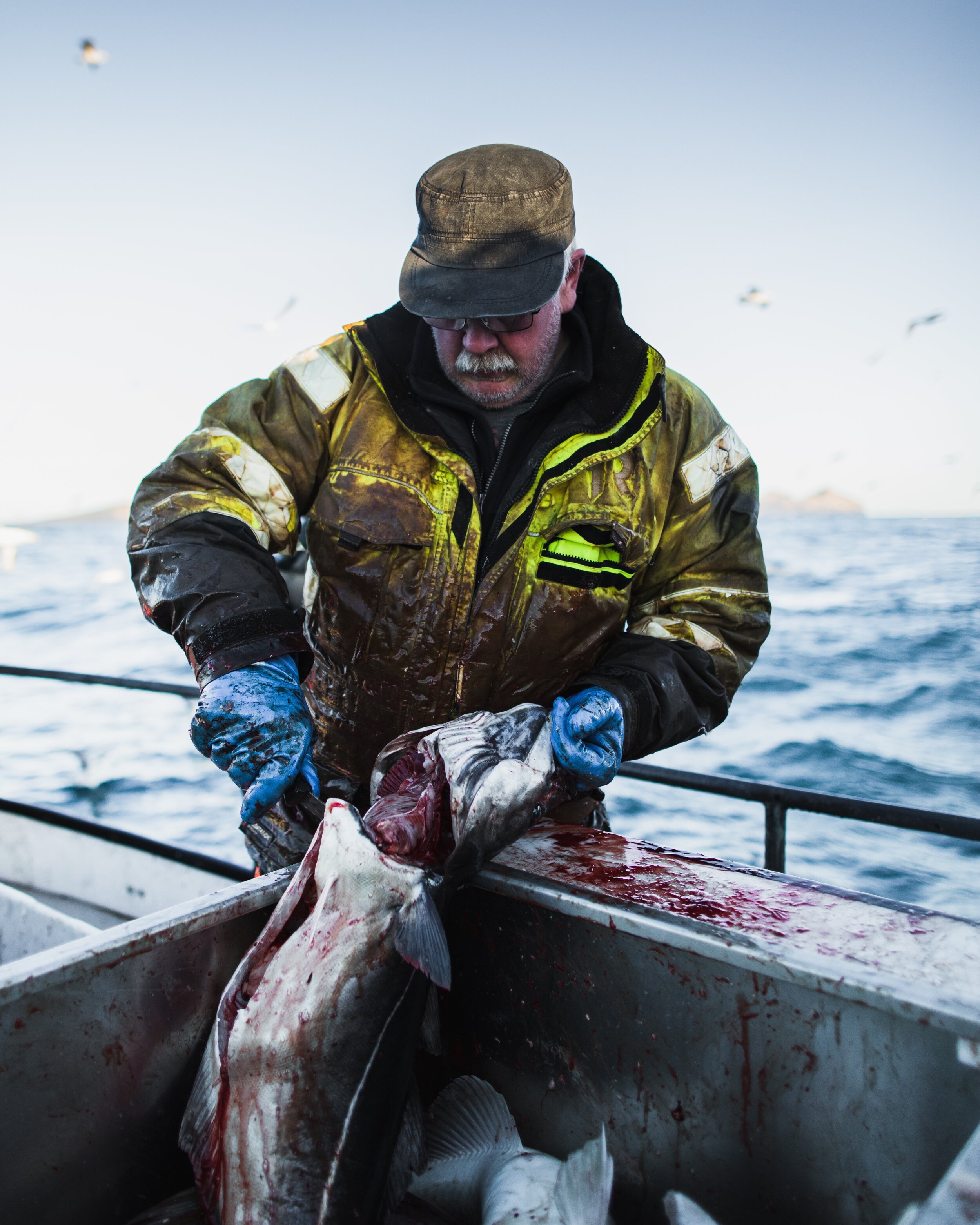 Icelandic explorer iceland responsible fisheries 38.jpg