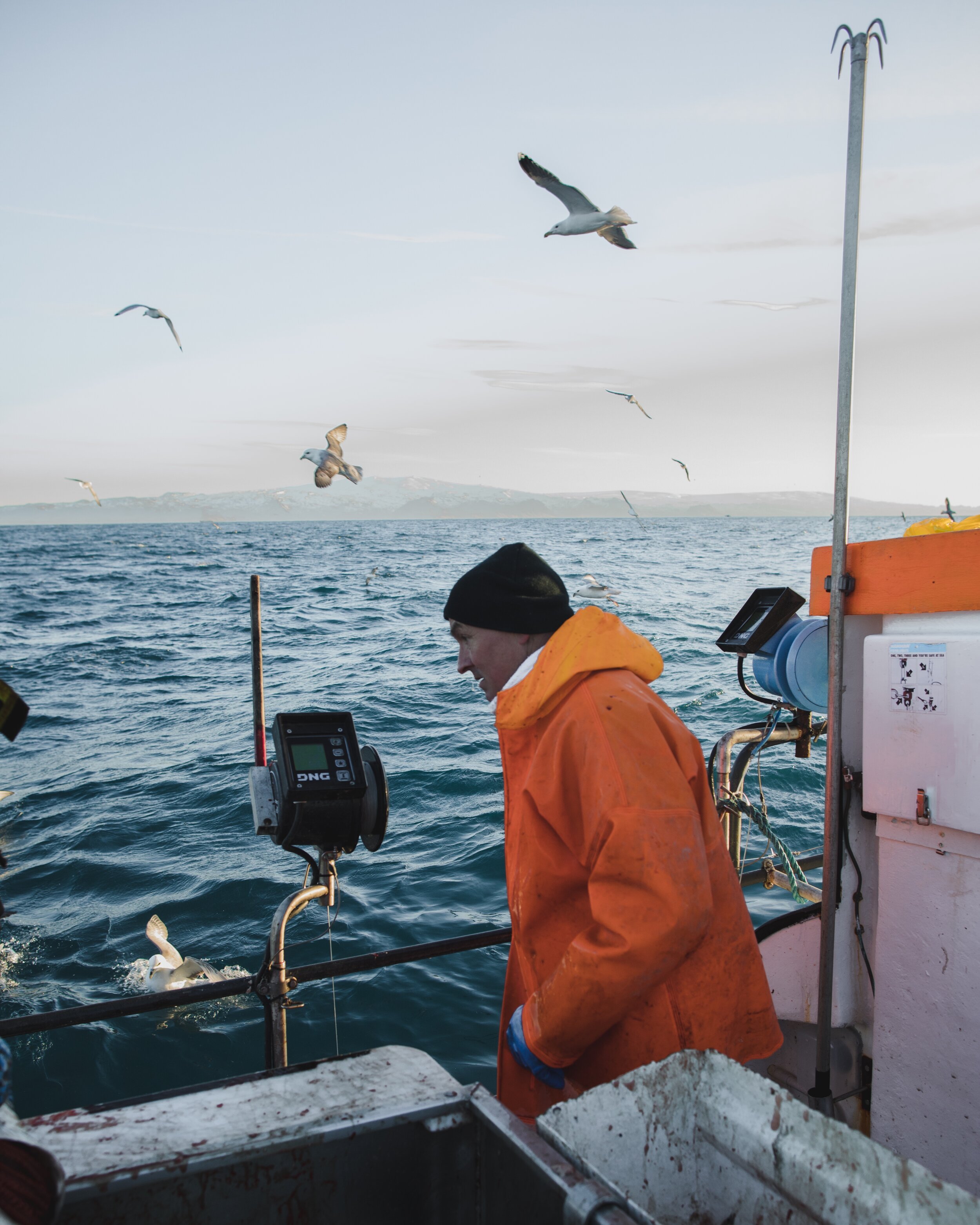 Icelandic explorer iceland responsible fisheries 39.jpg