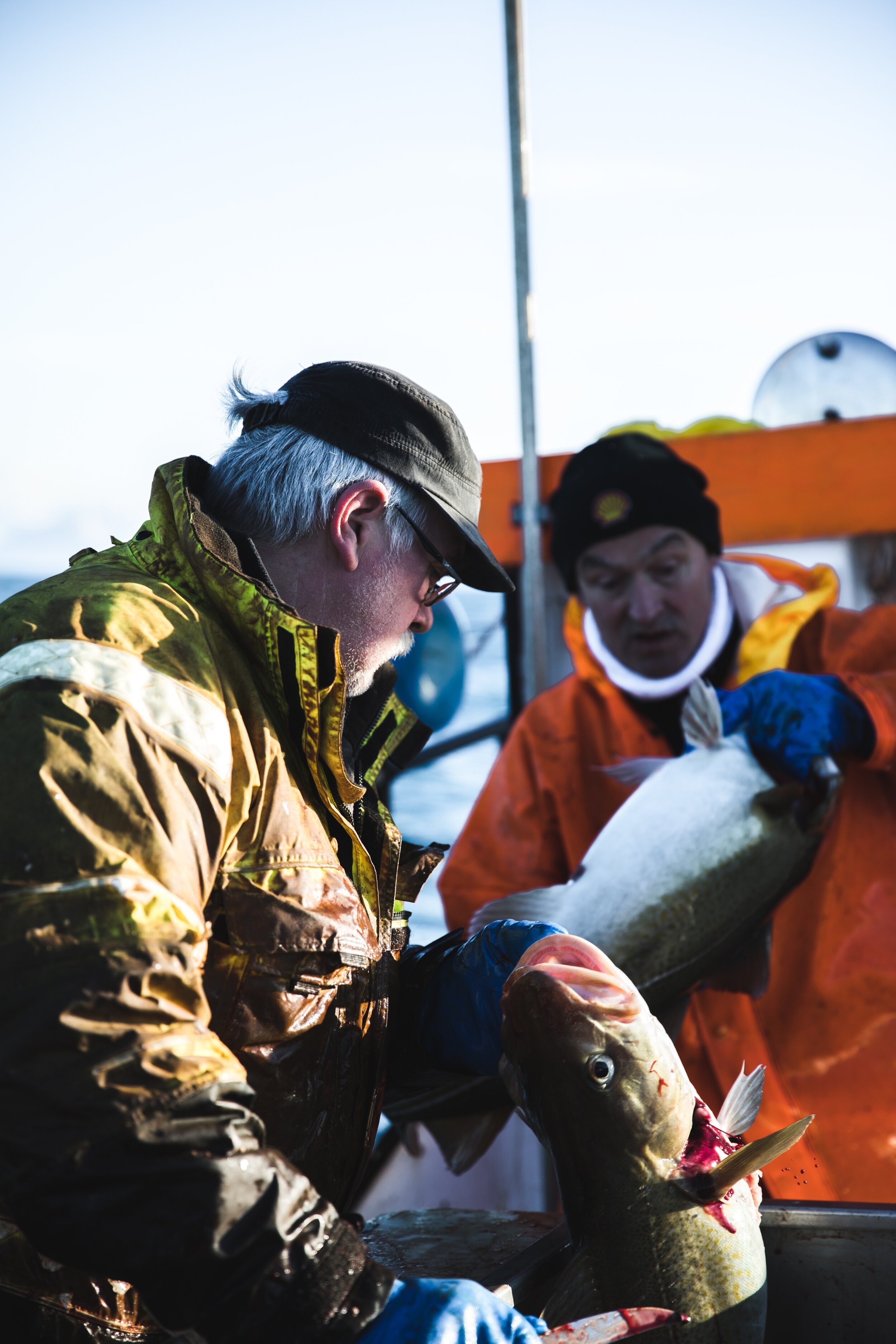 Icelandic explorer iceland responsible fisheries 14.jpg