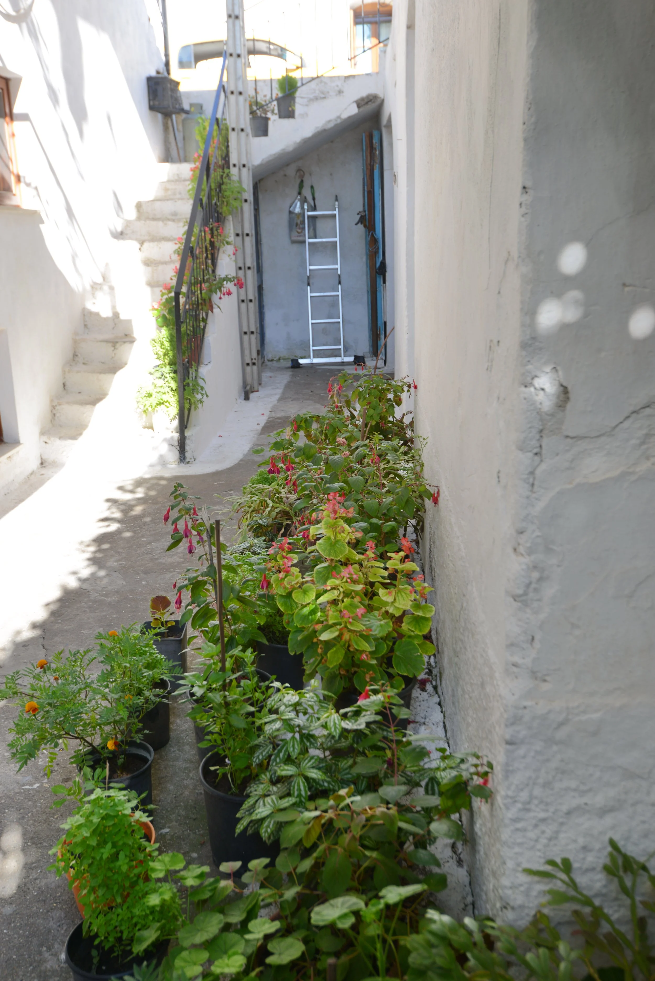 Hosue Herb Accessories Side View Ikaria.jpeg