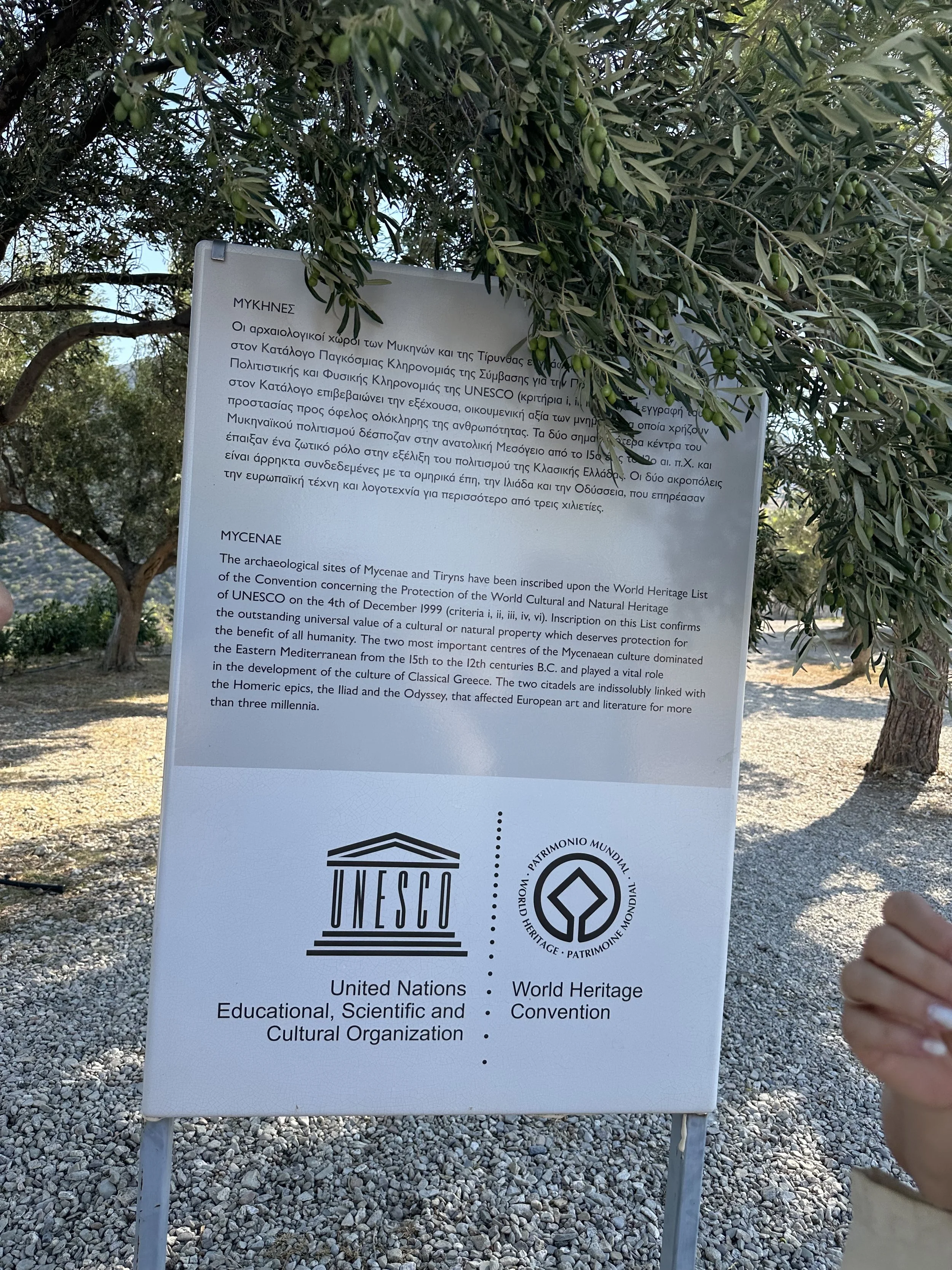 Ancient Greek Language4.jpeg