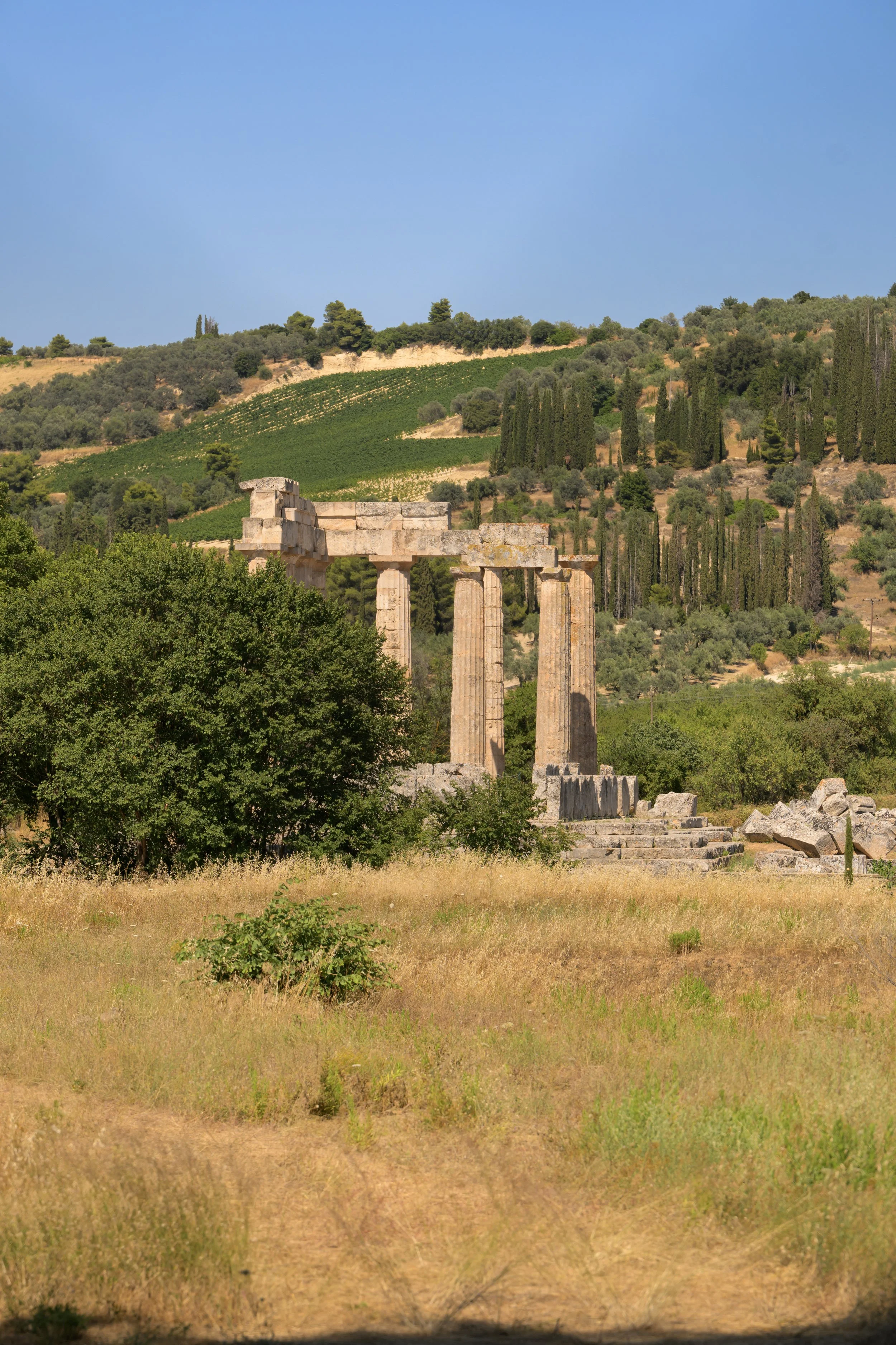 Nemea_KIKI_072.jpg