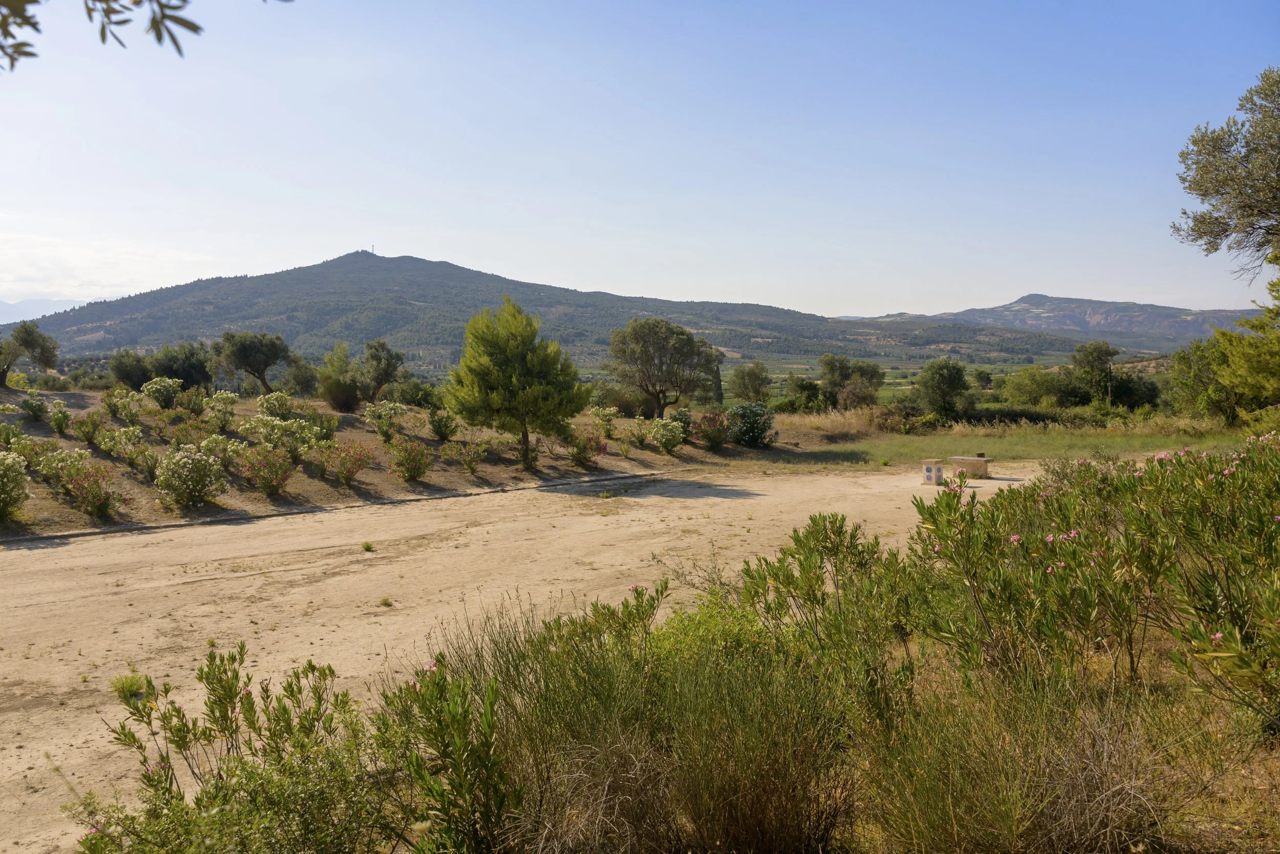 Nemea_KIKI_106.jpg
