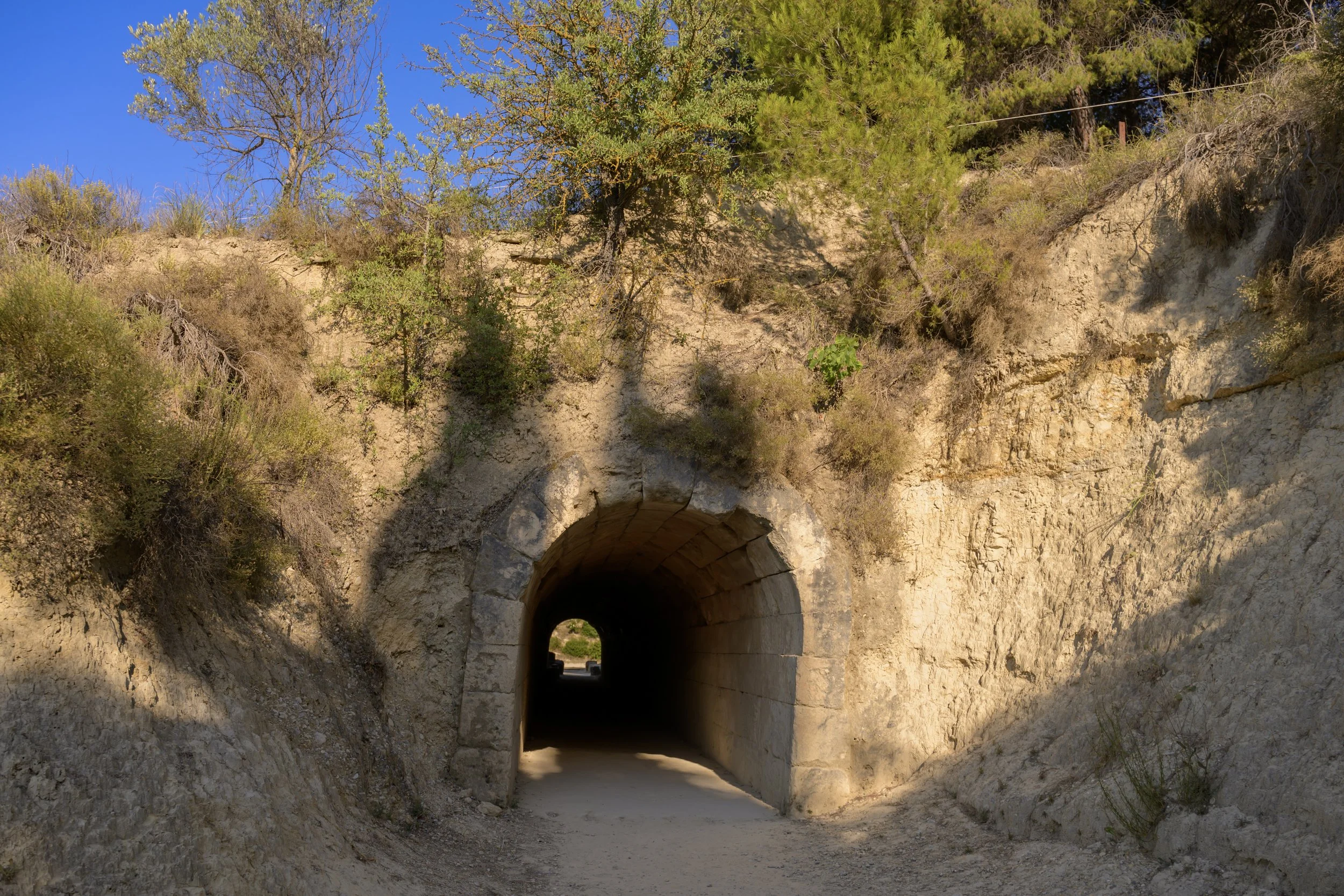 Nemea_KIKI_118.jpg