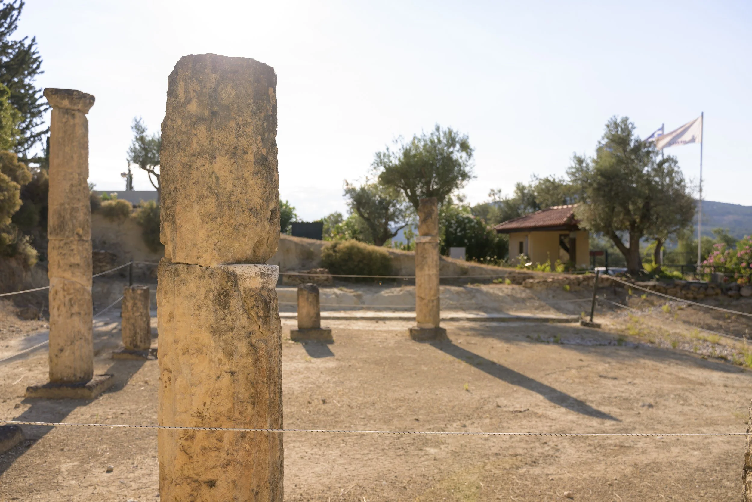 Nemea_KIKI_119.jpg
