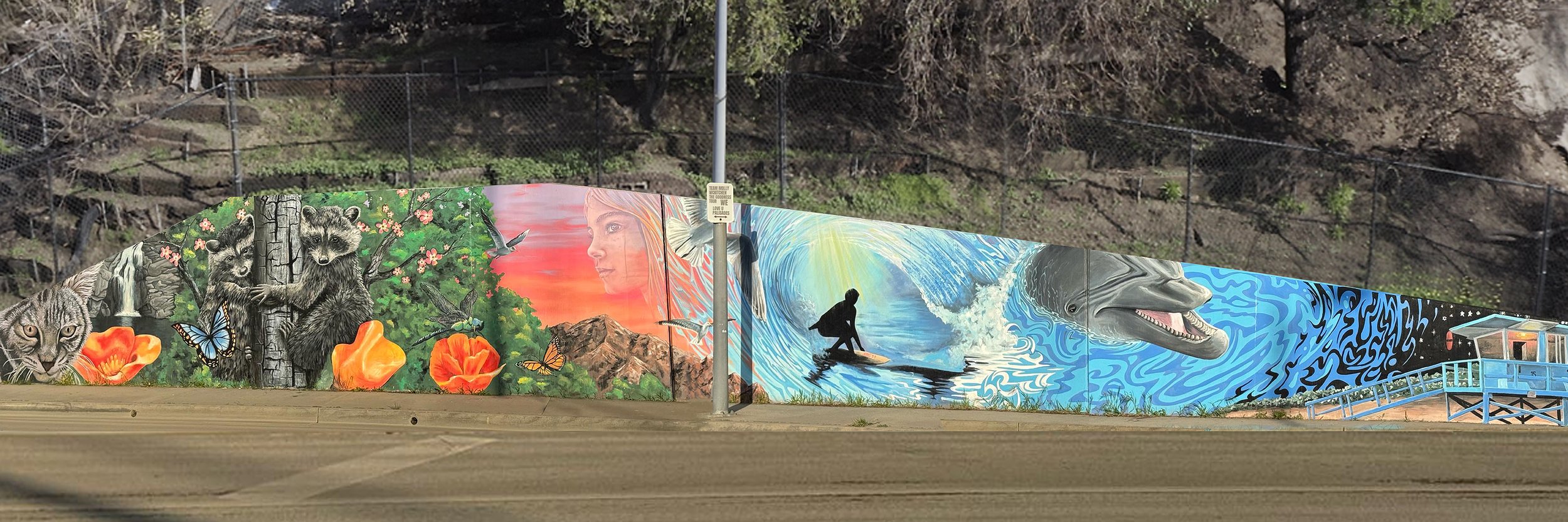 The Goodness Tour, Palisades Community Mural