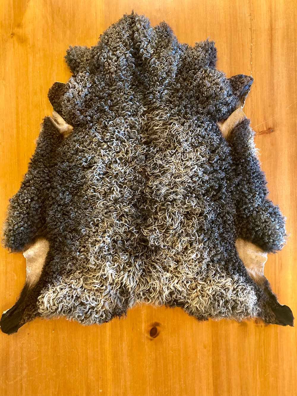 Wool Side of Deep Charcoal Gotland Sheepskin Pelt with Silver Highlights
