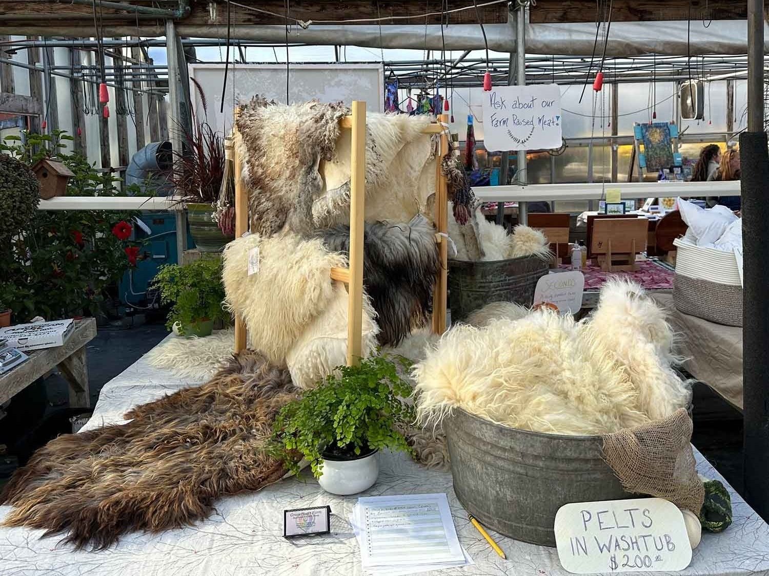 Green Heart Farm Vermont Icelandic Sheepskin Pelts For Sale At Market