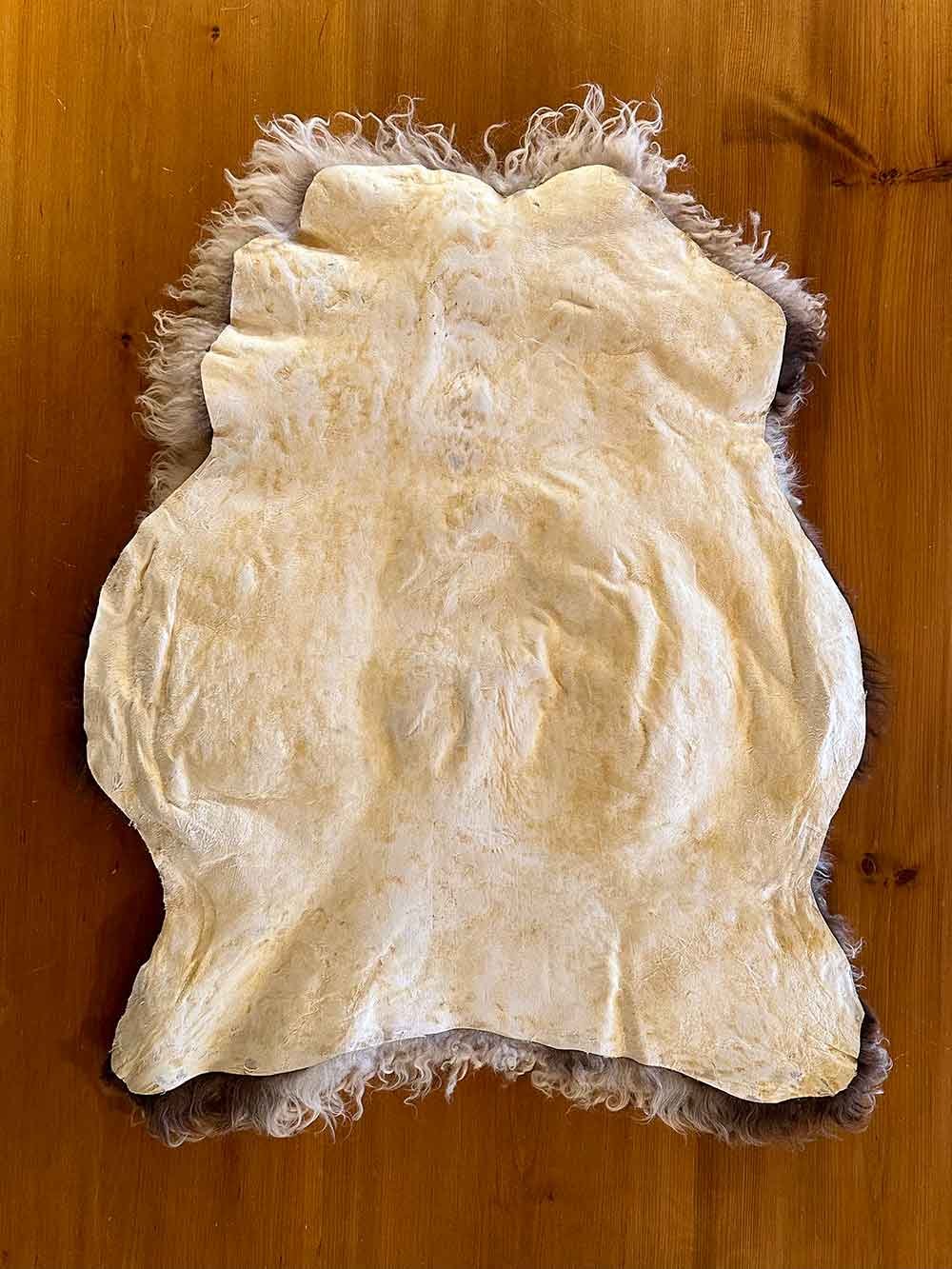Hide Side Of Curly Moorit Badgerface VT Icelandic Sheepskin Pelt