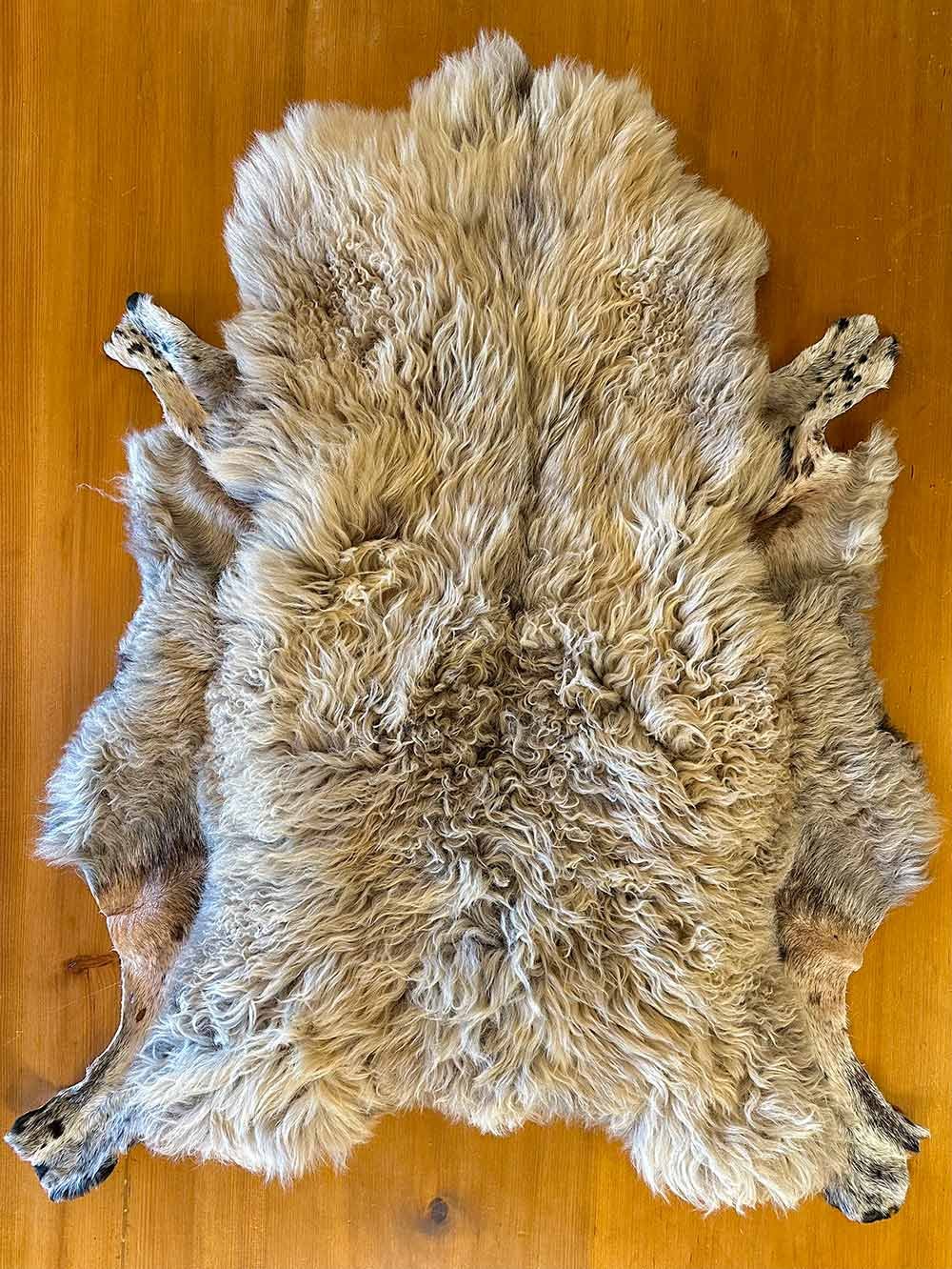 Wool Side of Multi-Textured, Hearty Scottish Black Face Sheepskin Rug