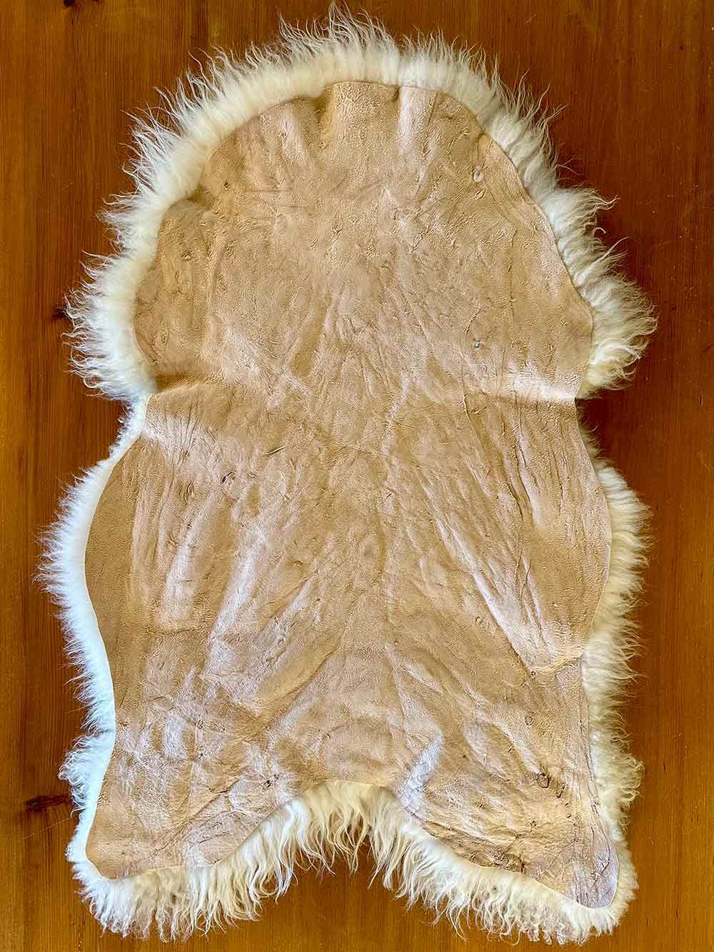 Hide Side of Golden Vanilla Vermont Icelandic Cross Sheepskin Pelt