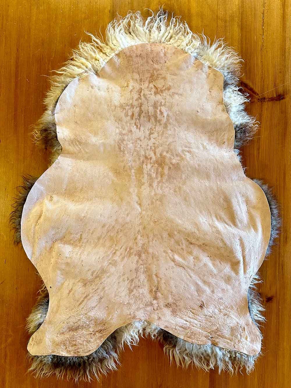 Hide Side of Creamy Moorit Badgerface Sheepskin Pelt