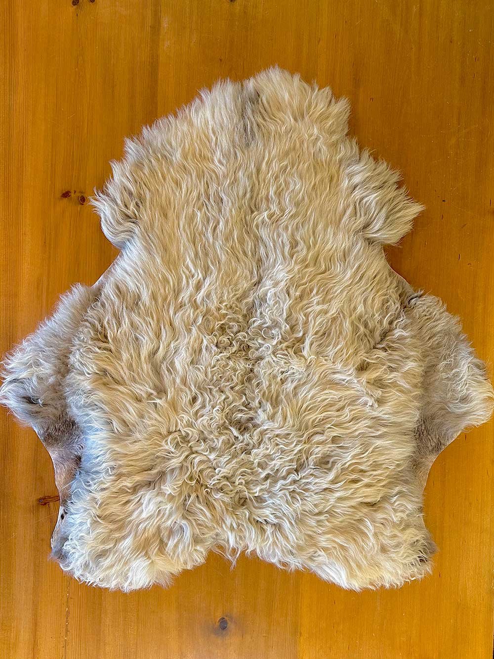 Wool Side of “Sycamore“ Scottish Black Face Sheepskin Rug