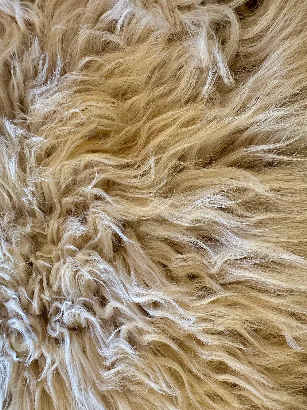 Close Up of “Sycamore“ Scottish Black Face Sheepskin Rug