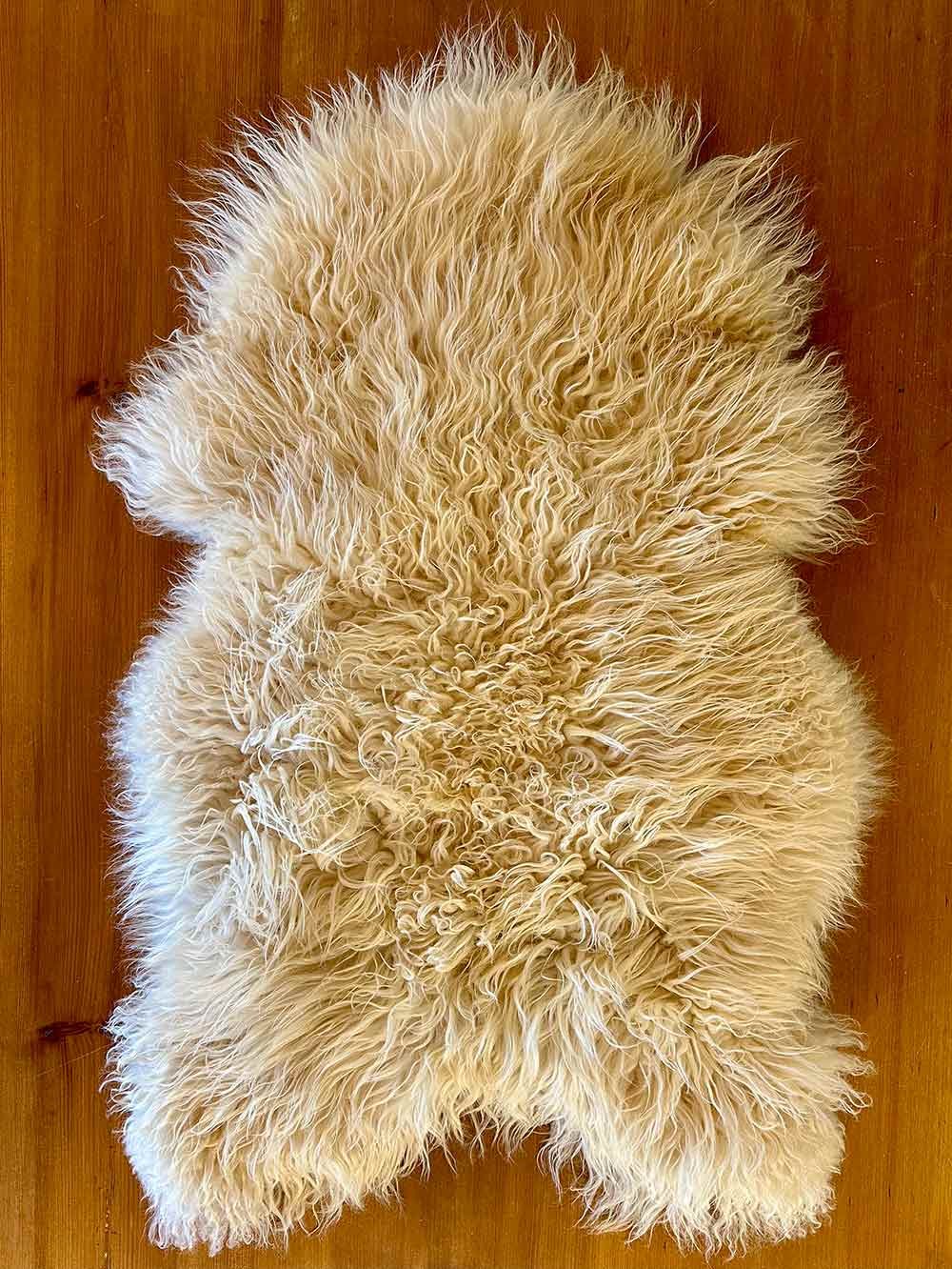 Wool side of Golden Vanilla Vermont Icelandic Cross Sheepskin Pelt