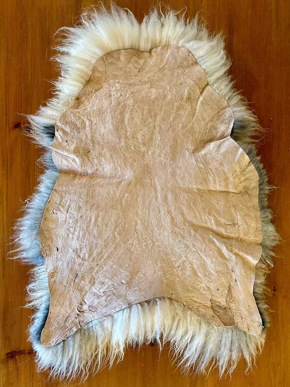 Hide Side of Creamy Downy Vermont Icelandic Lamb Pelt