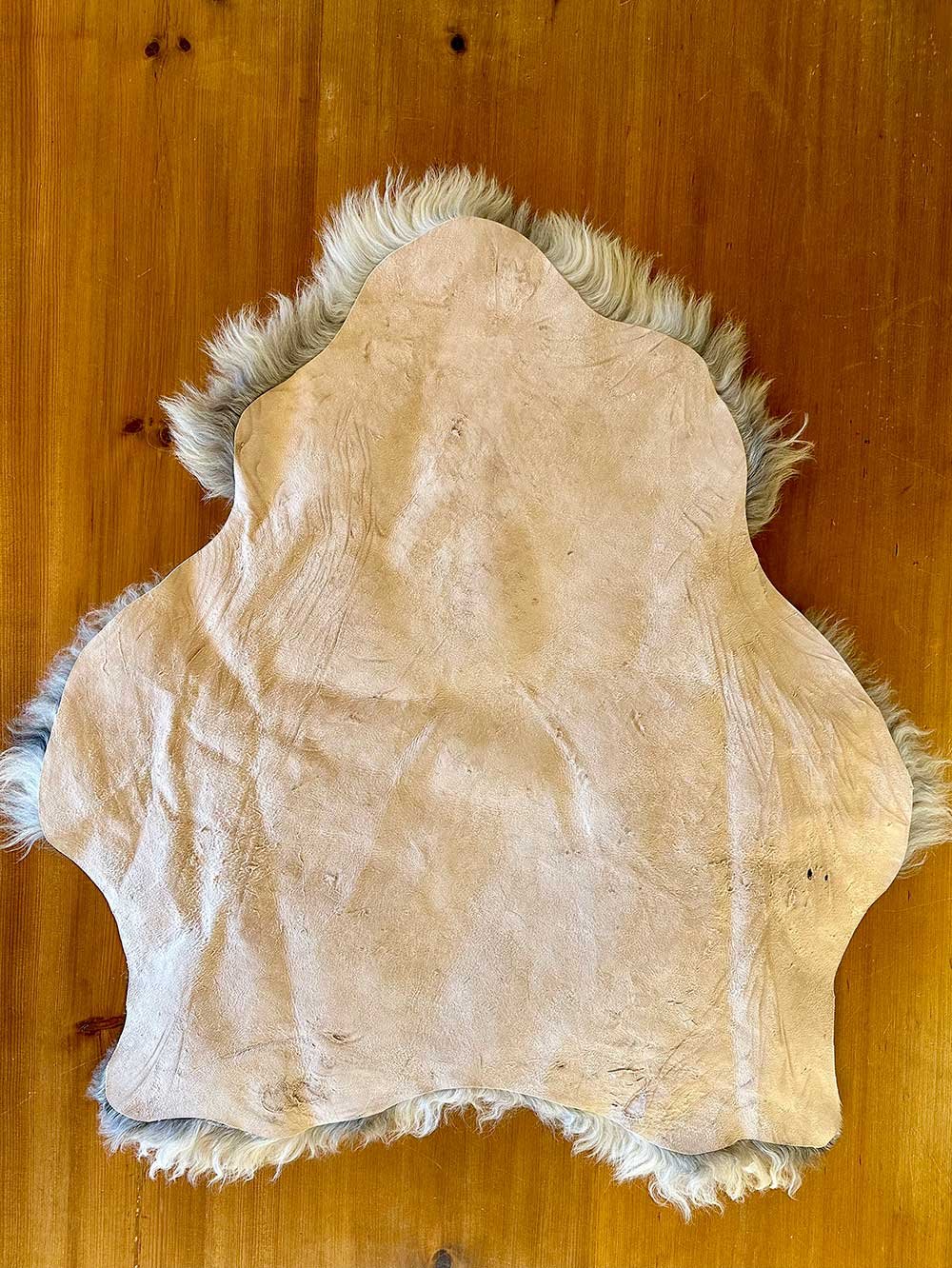 Hide Side of “Sycamore“ Scottish Black Face Sheepskin Rug