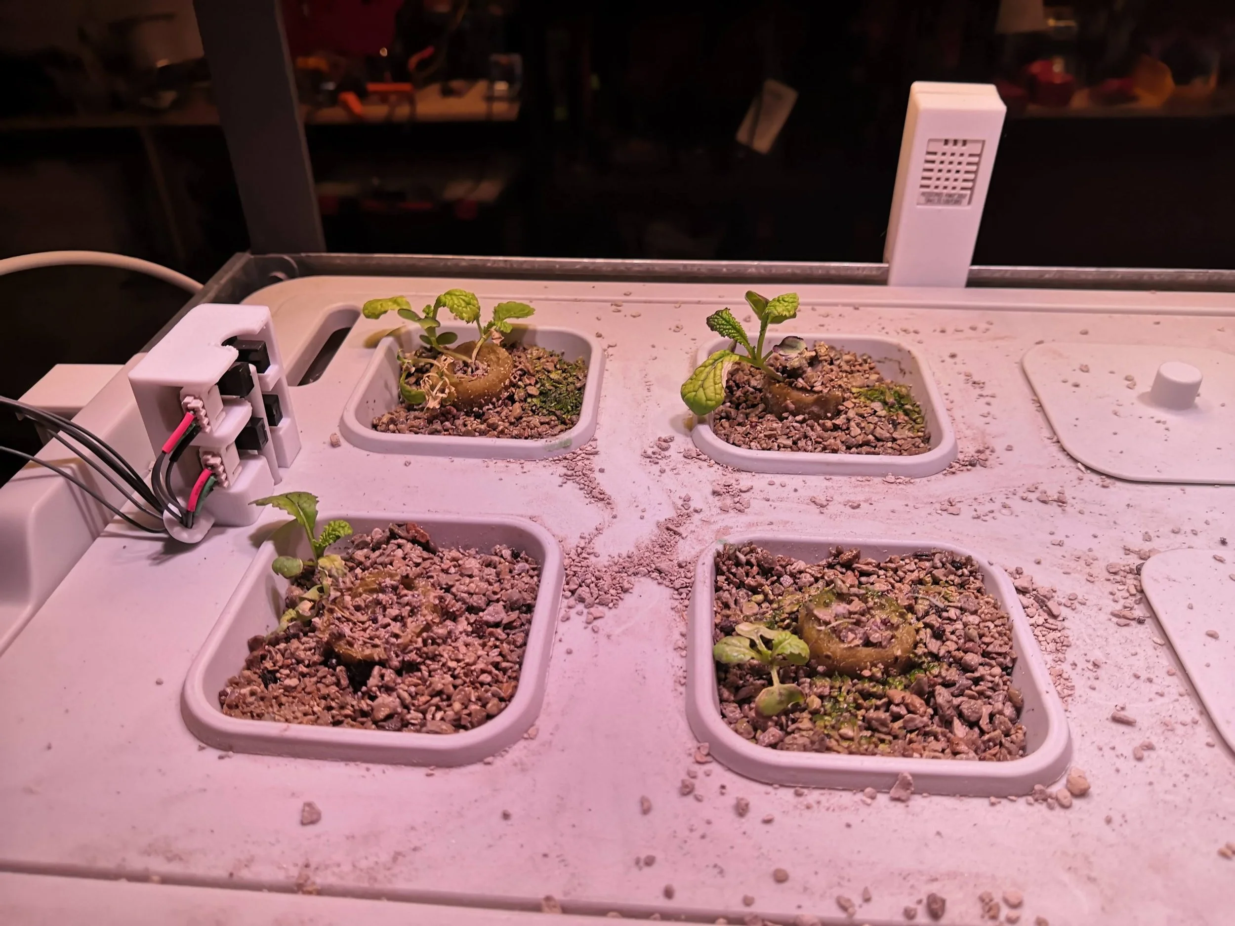tray-scaled.jpg