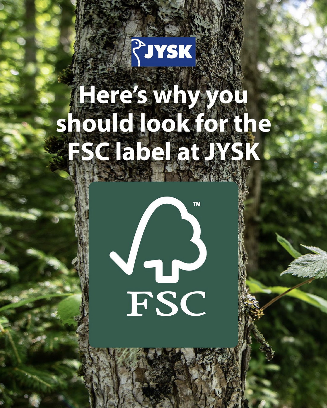 JYSK 1.png
