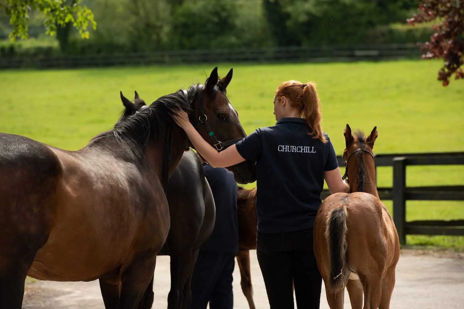 A woman with red hair, wearing a navy blue shirt with 'CHURCHILL' on the back, is petting two horses in a paddock, with green grass and trees in the background.