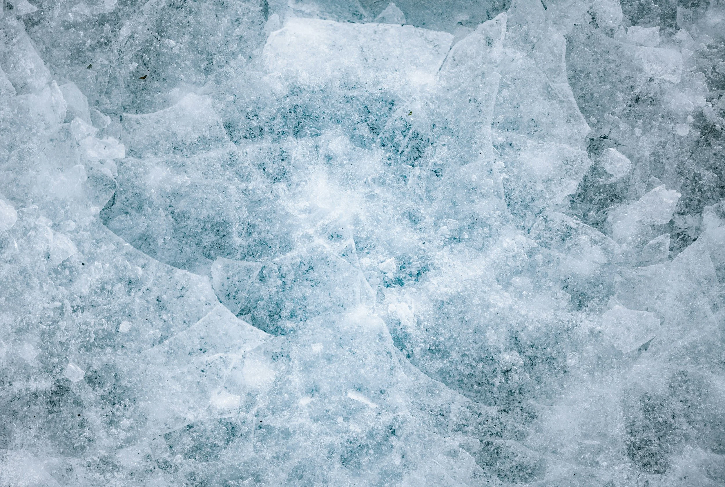 Weathering the cold, ICE, and political violence in the USA: psychological perspective