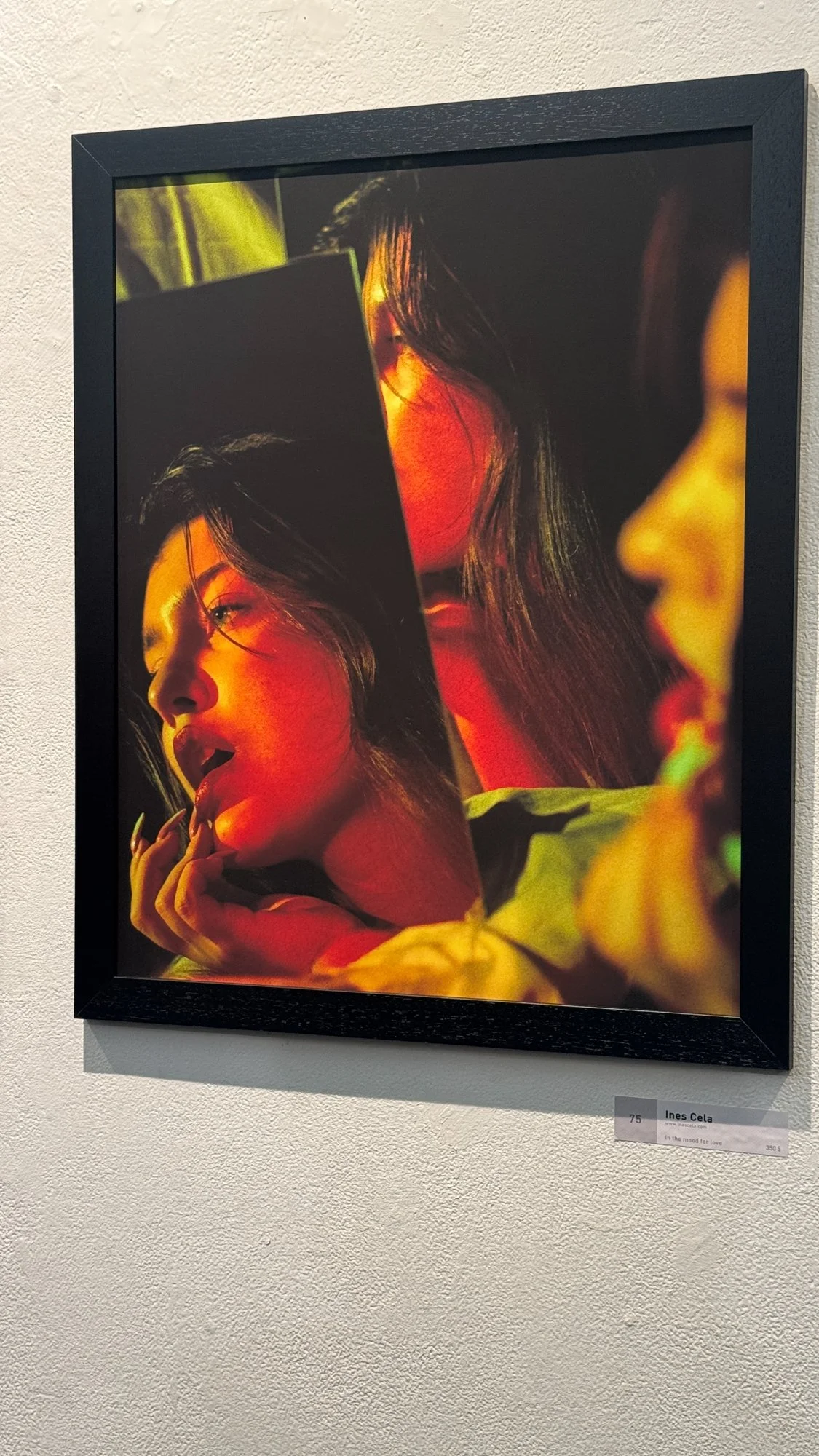ines-cela-exhibitions-publications-21.jpg