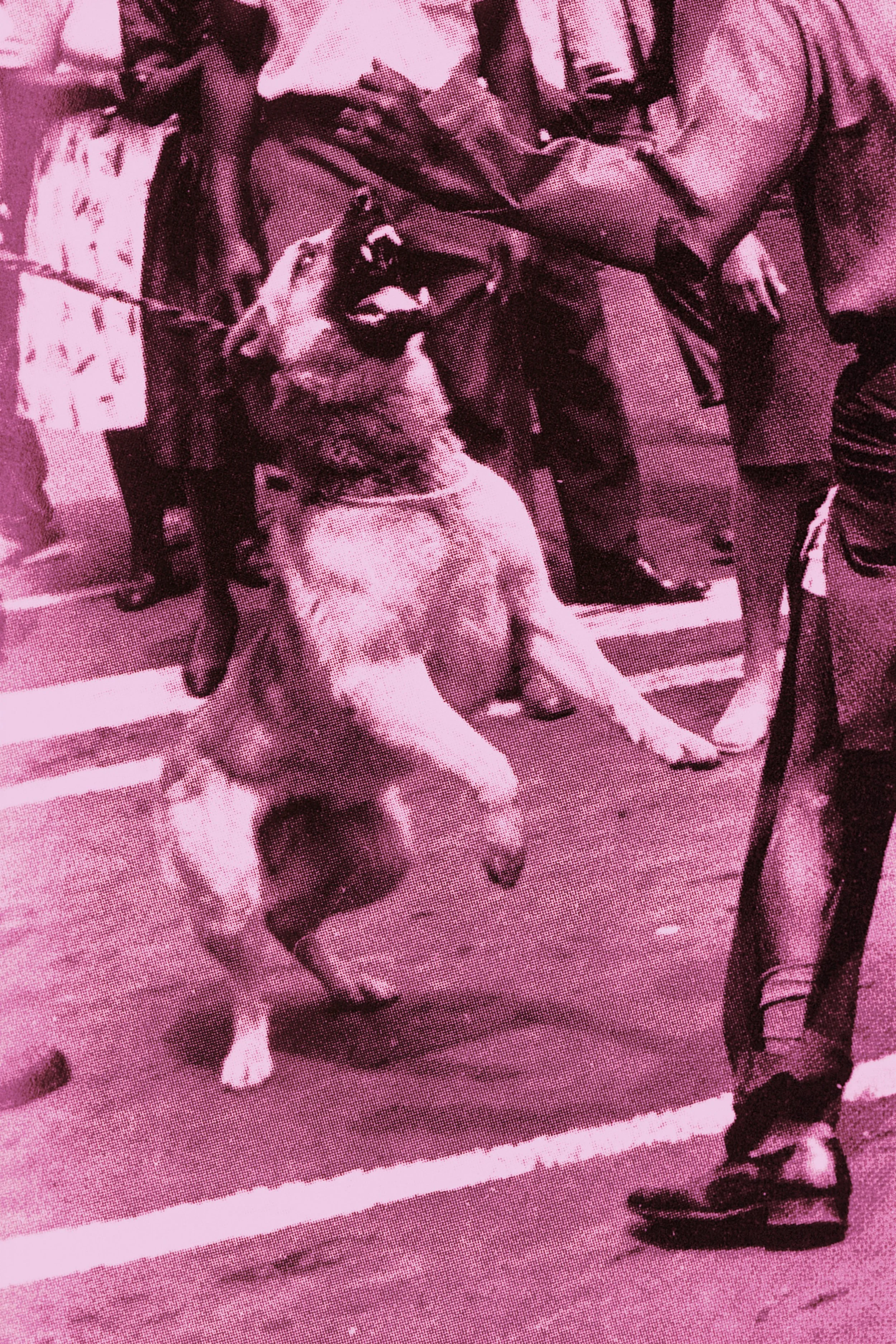 Untitled (Blues and Pinks 3-2) - 12x18.jpg