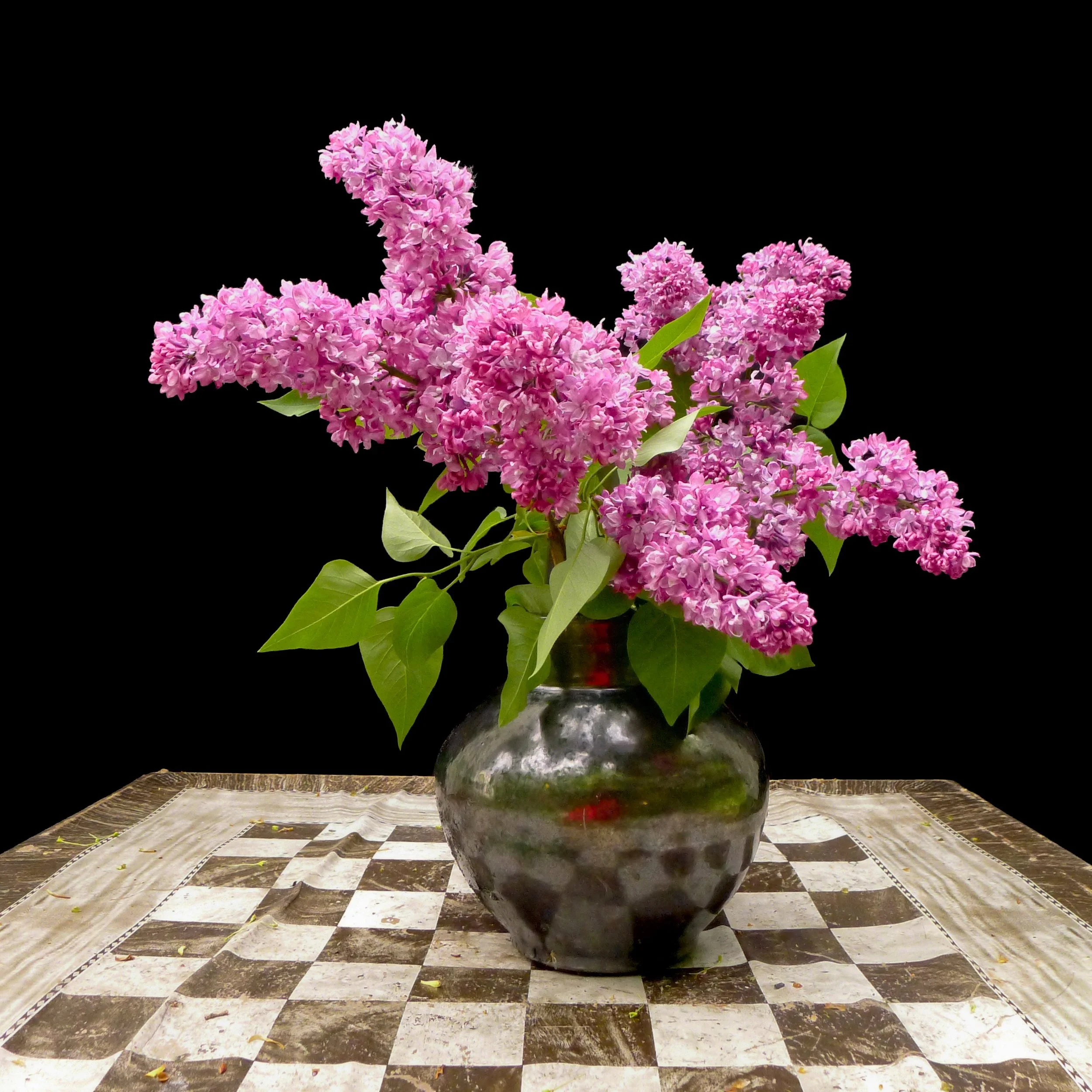 Floral Study (Study 12 with Table).jpg