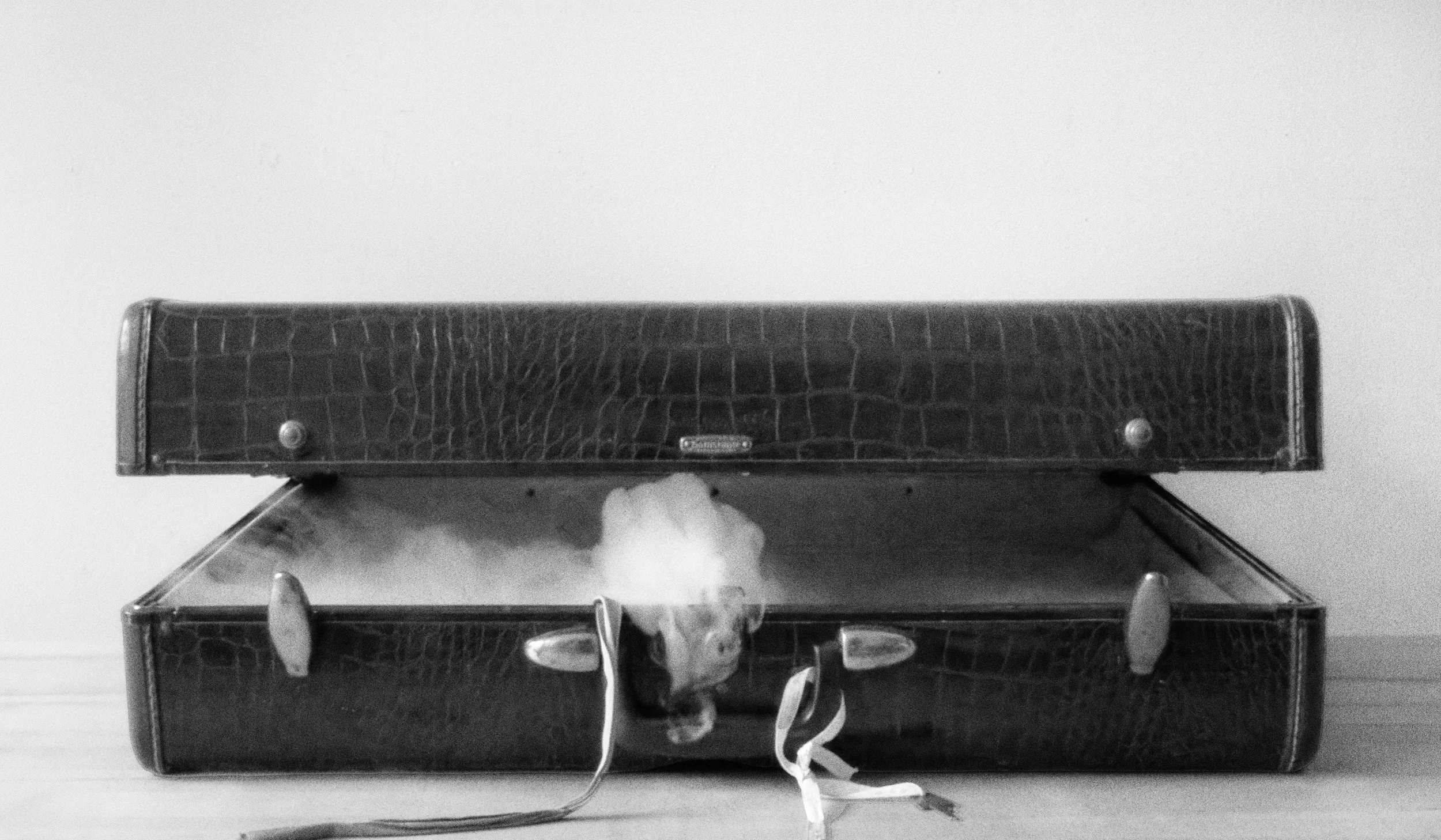 metallic__14 x 24 _ suitcase-smoke-low resolution v2-4800h copy.jpg