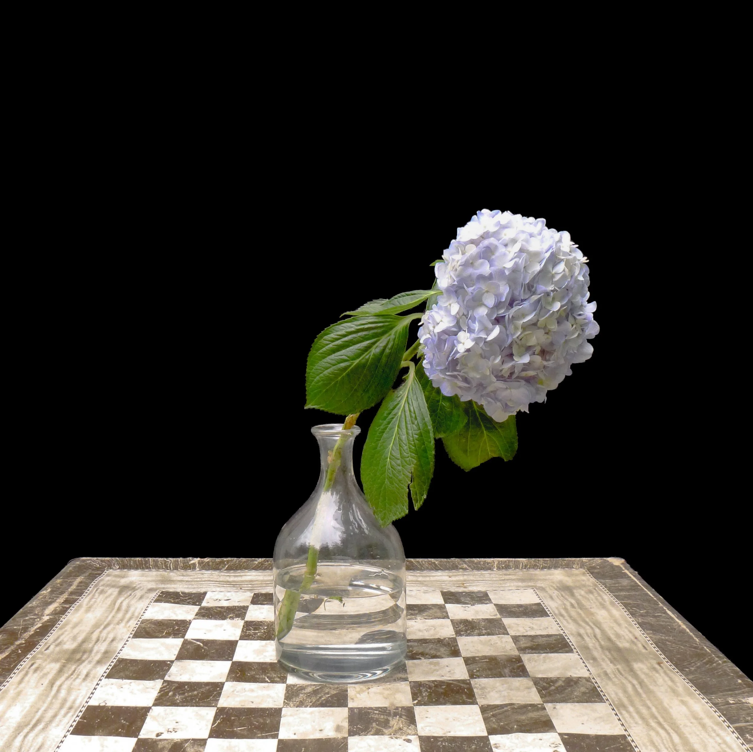 Floral Study (Study 4 with Table).jpg