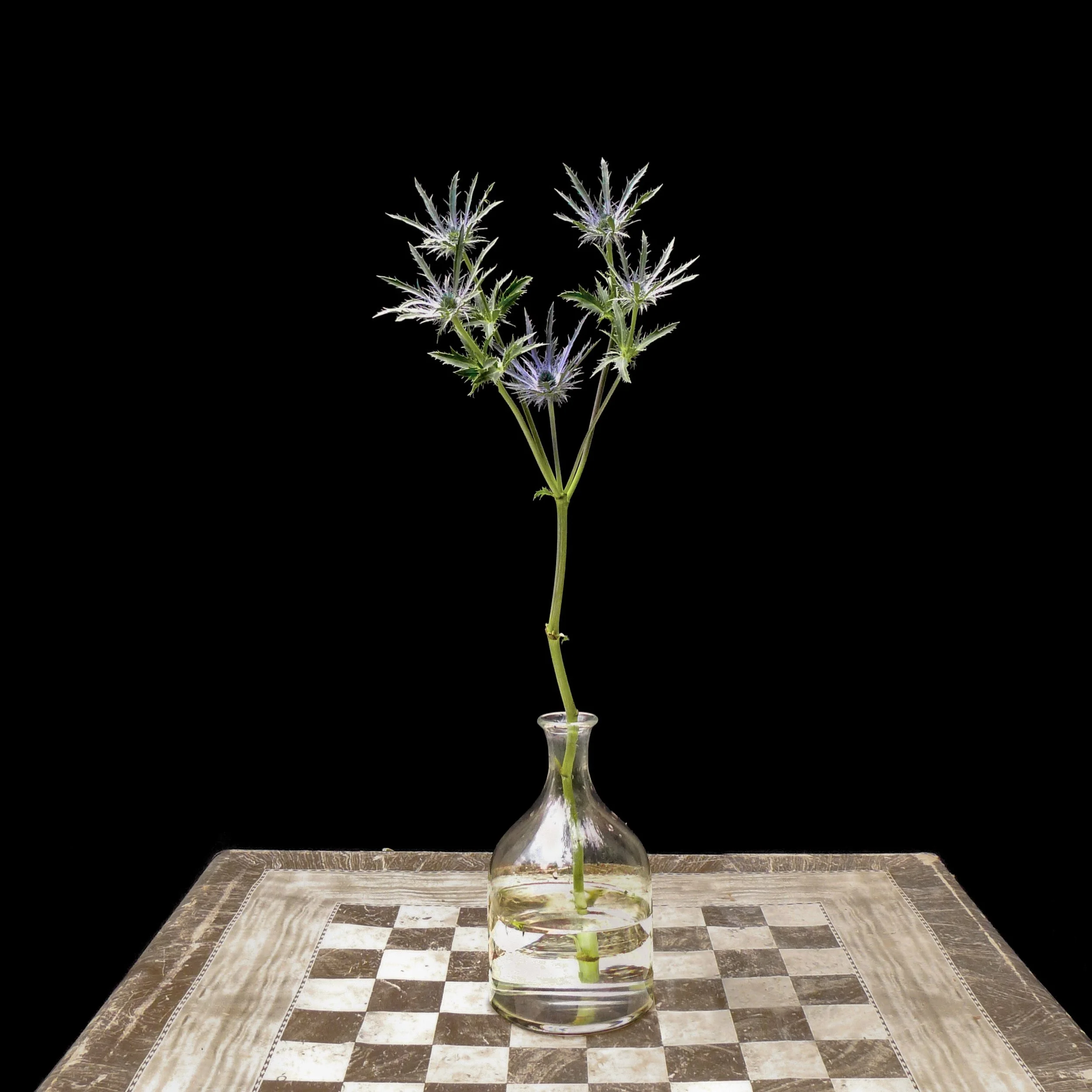 Floral Study (Study 3 with Table).jpg