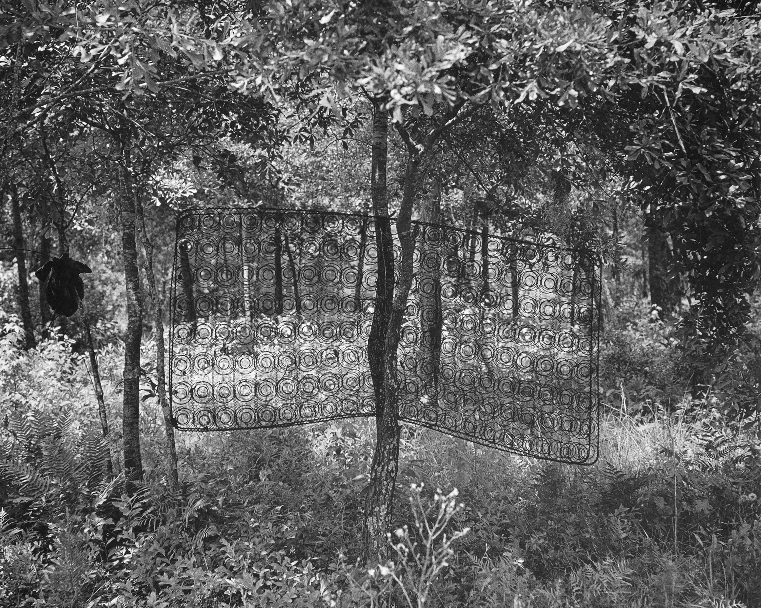 Sea Islands_Boxspring In Tree_HR-Recovered copy.jpg