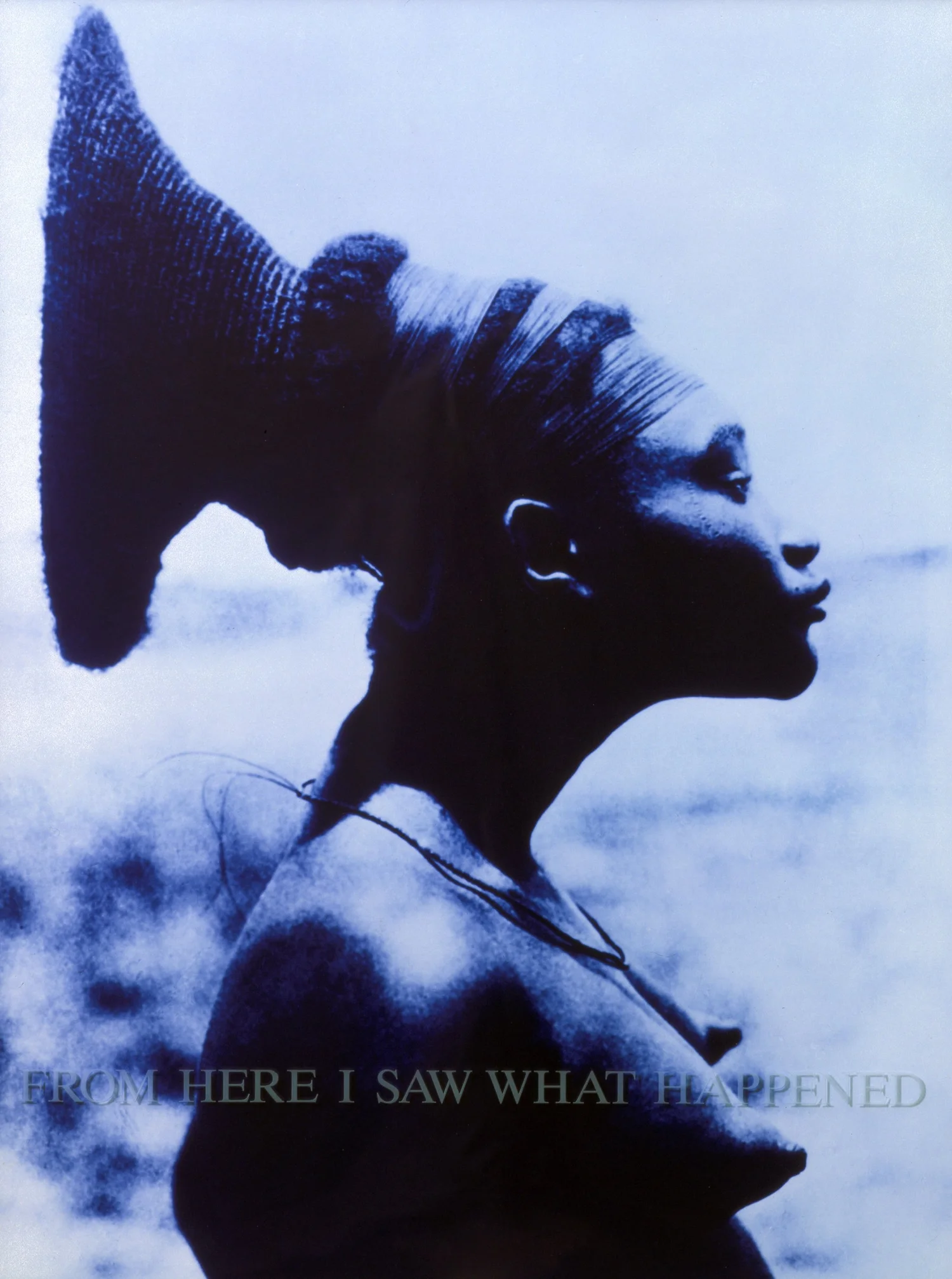 From Here I Saw What Happened and I Cried — Carrie Mae Weems