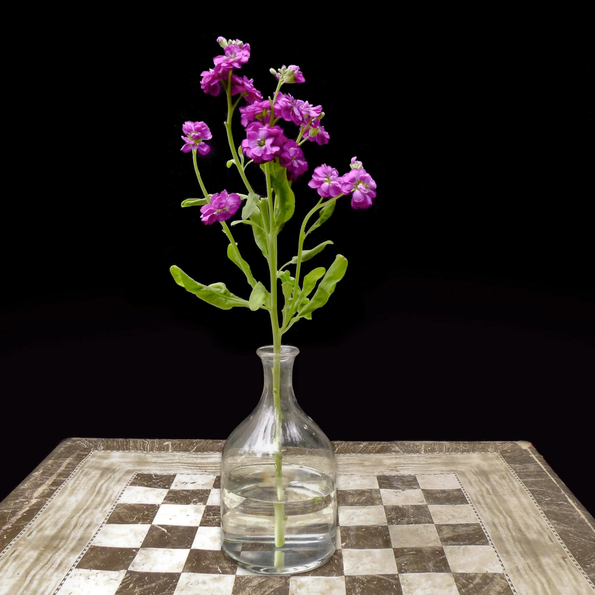 Floral Study (Study 1 with Table).jpg